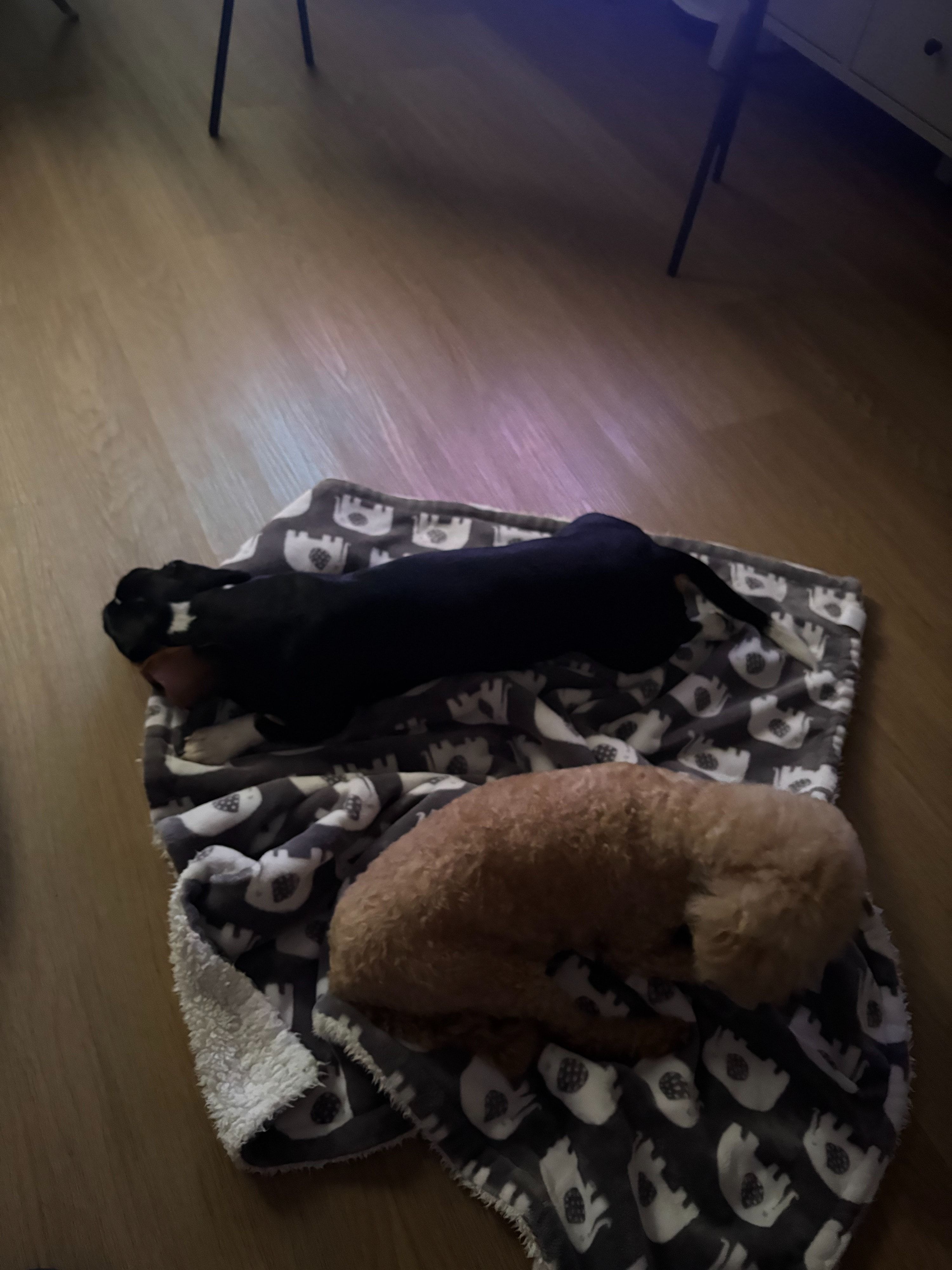 image-18
