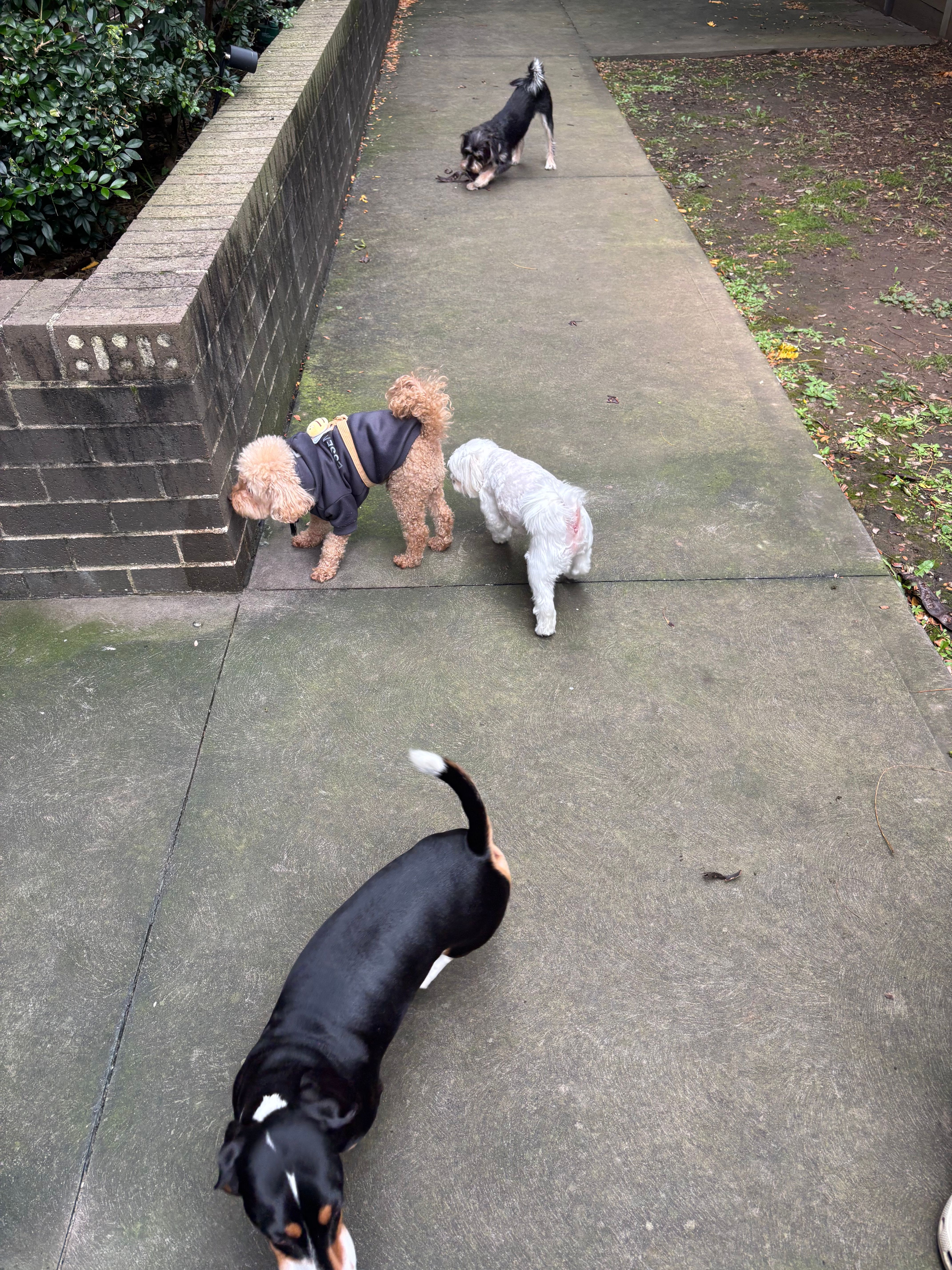 image-34