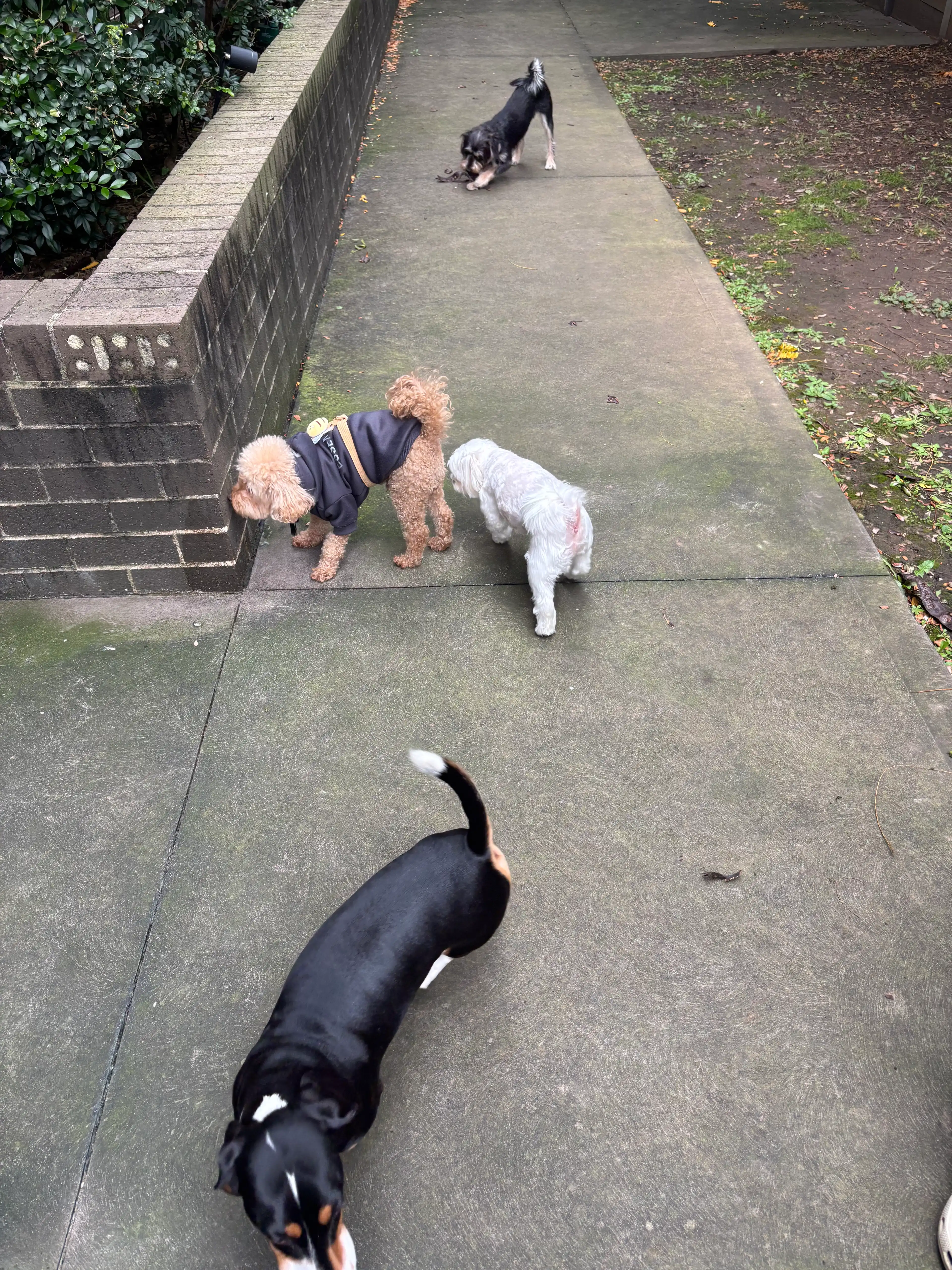 image-34