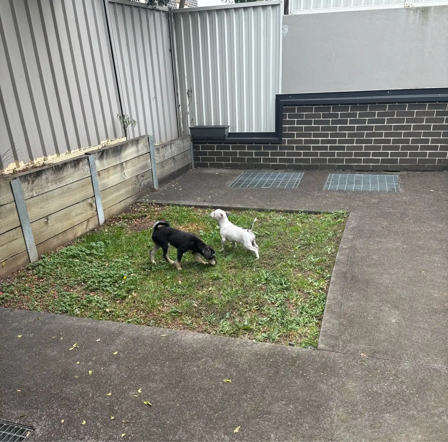 image-14