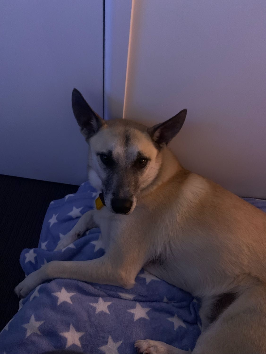 image-4