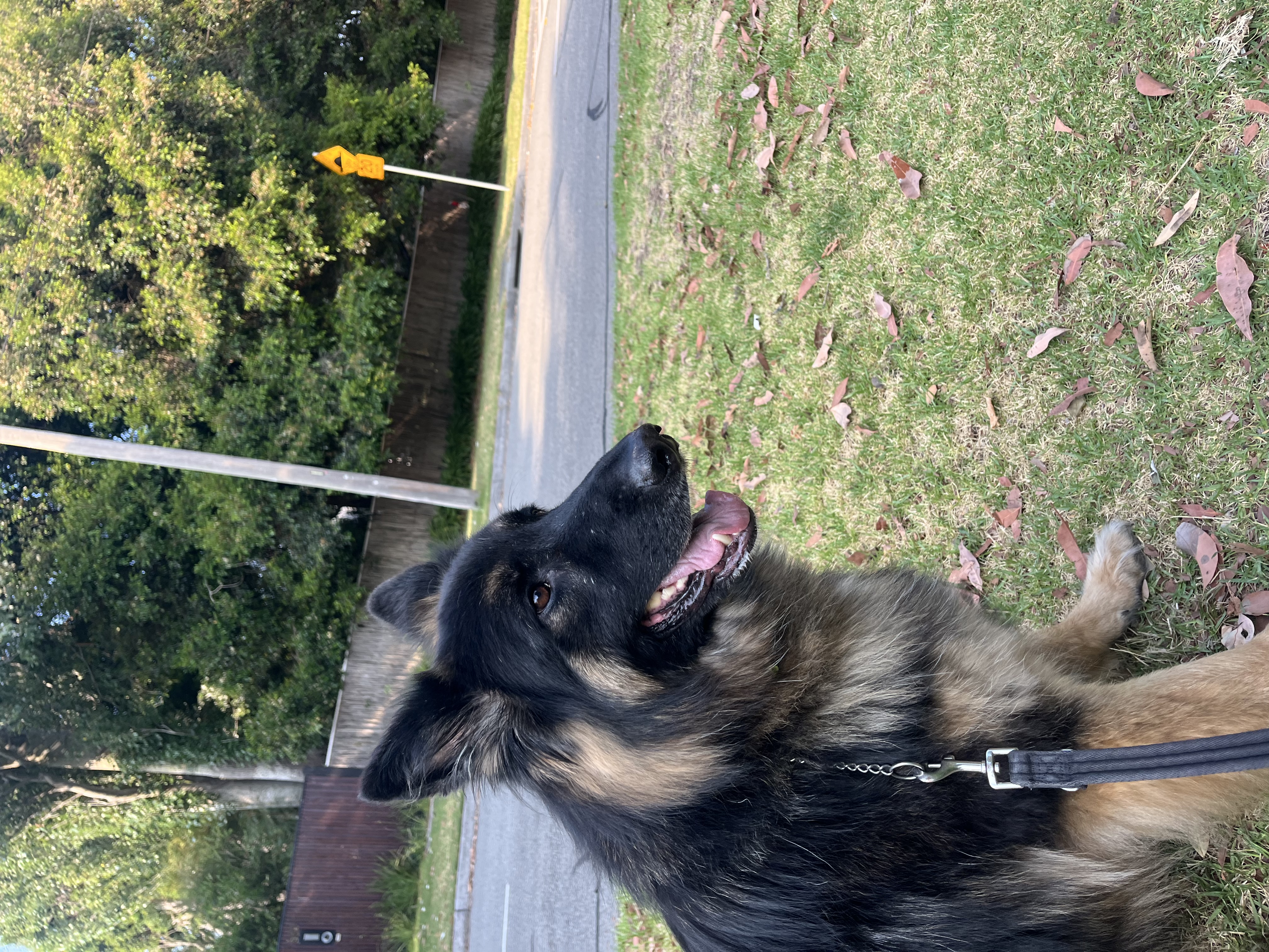 image-10
