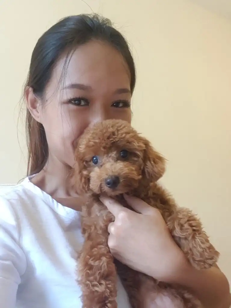 image-8