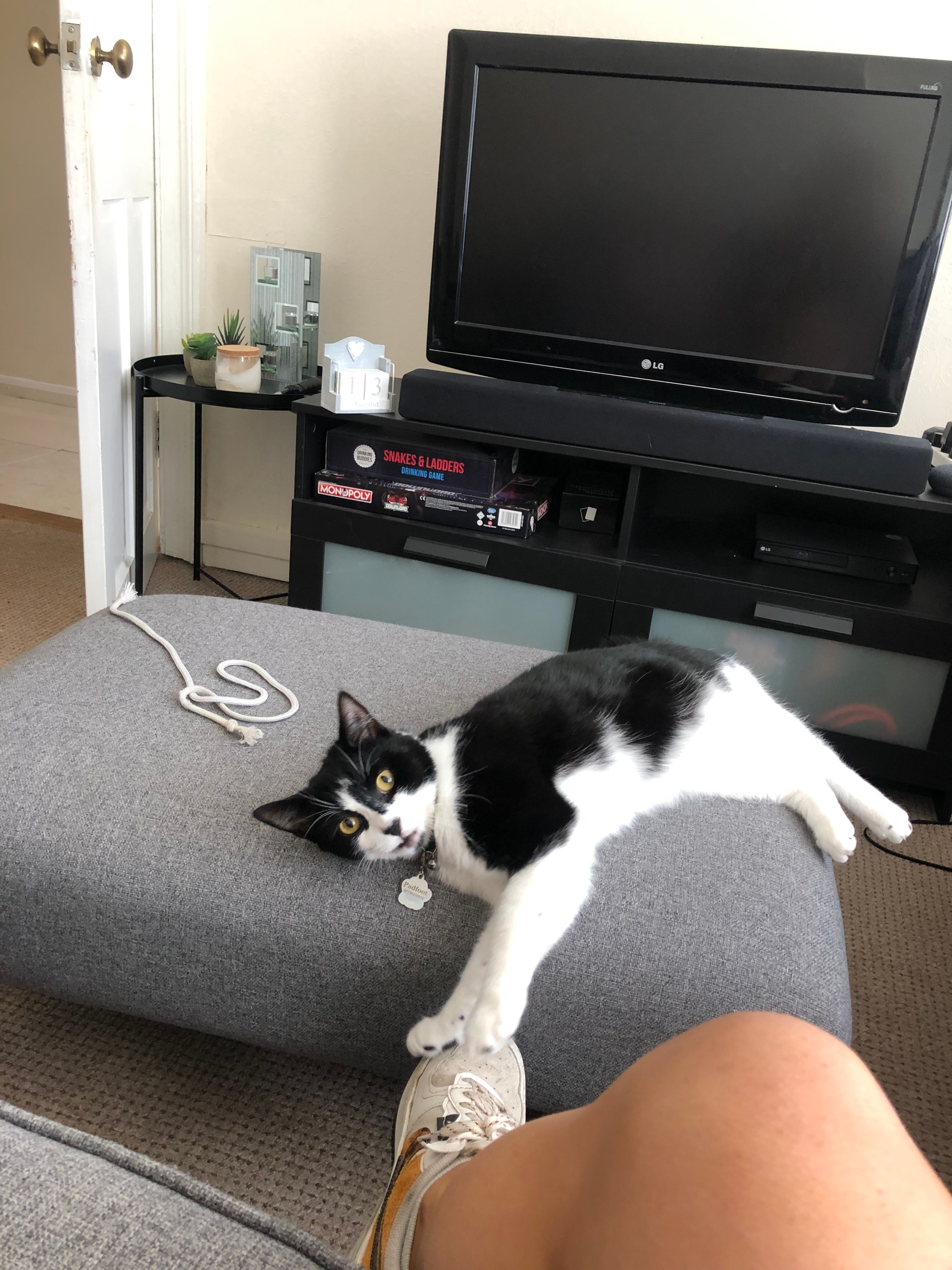 image-6