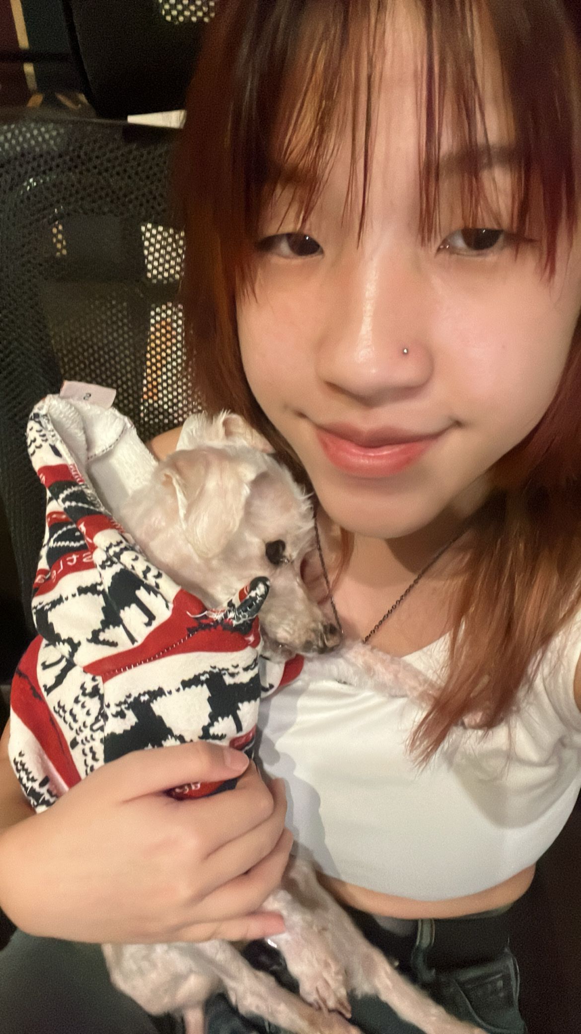 image-8