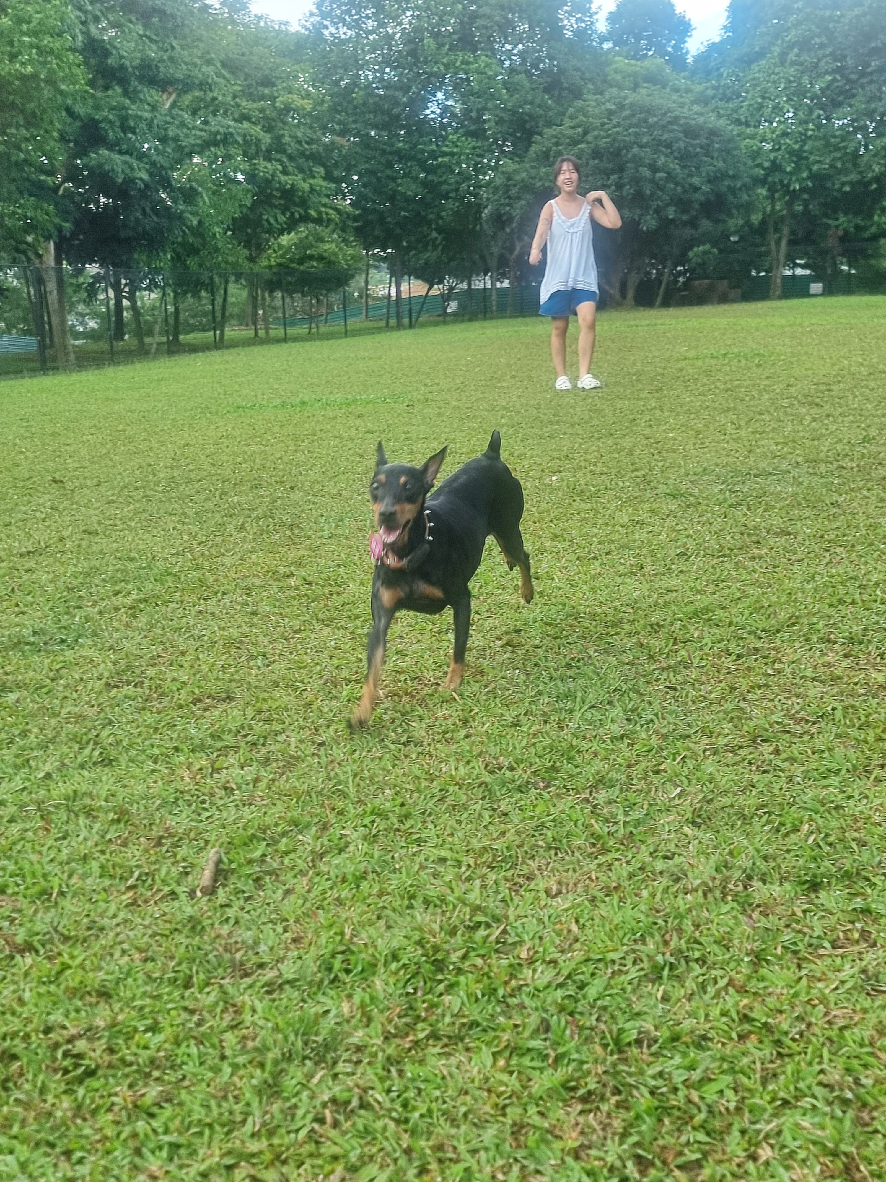 image-7