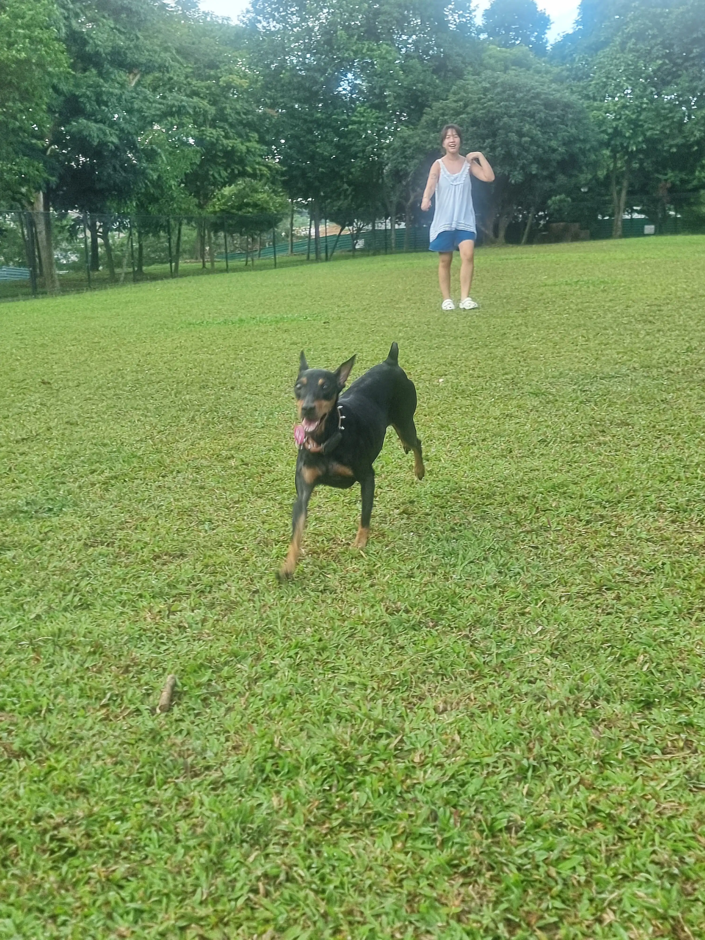 image-7