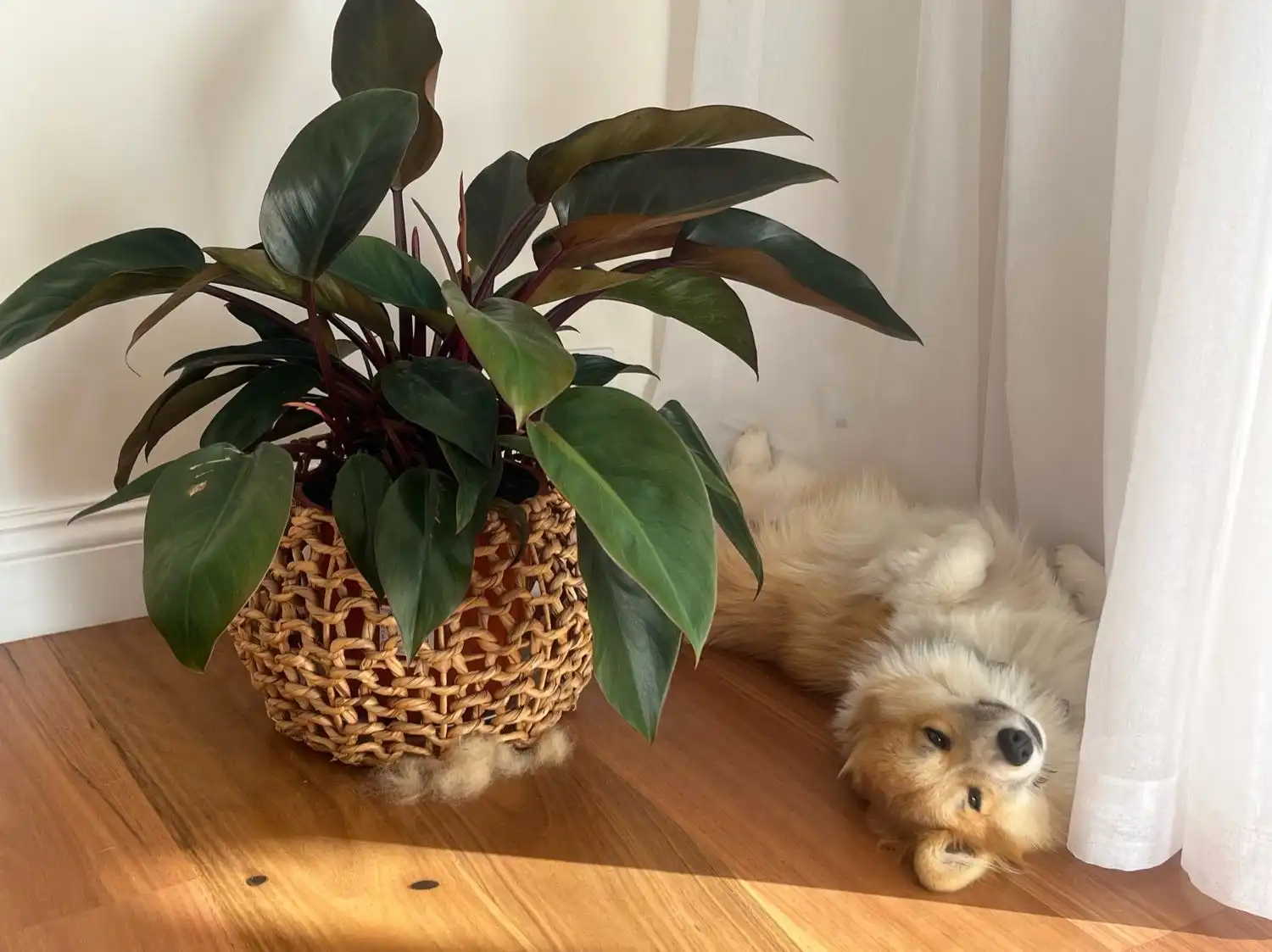 image-9