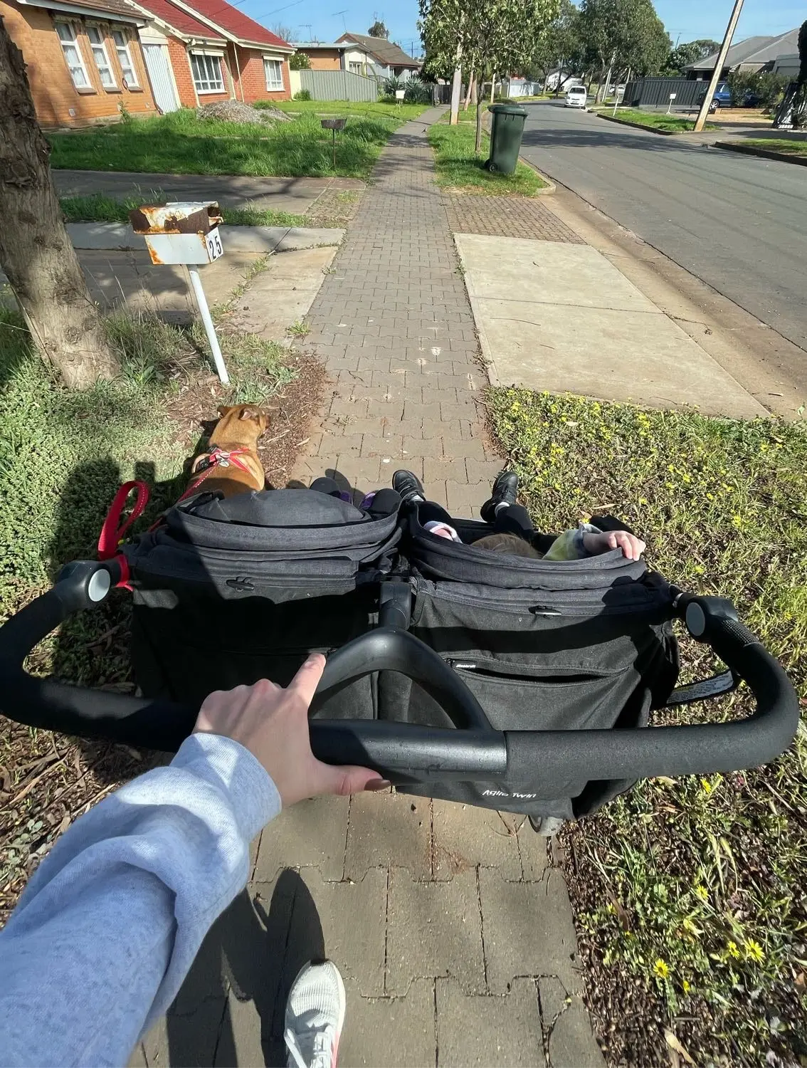 image-3