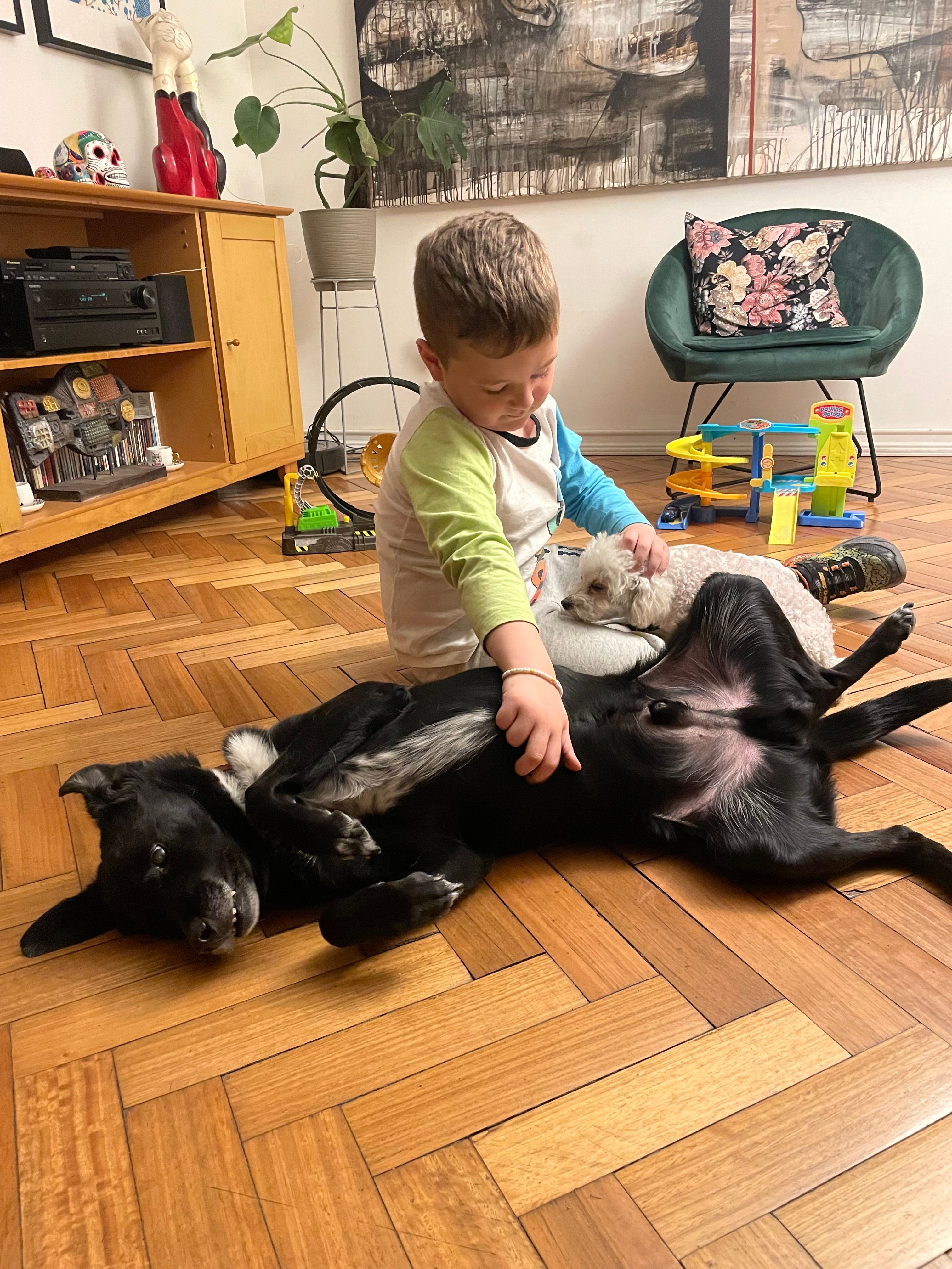 image-9