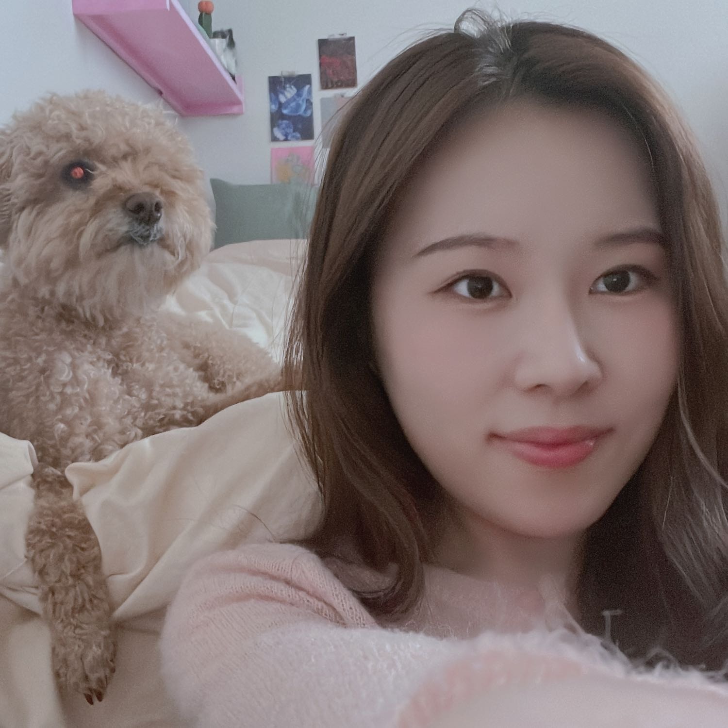 Jinsill