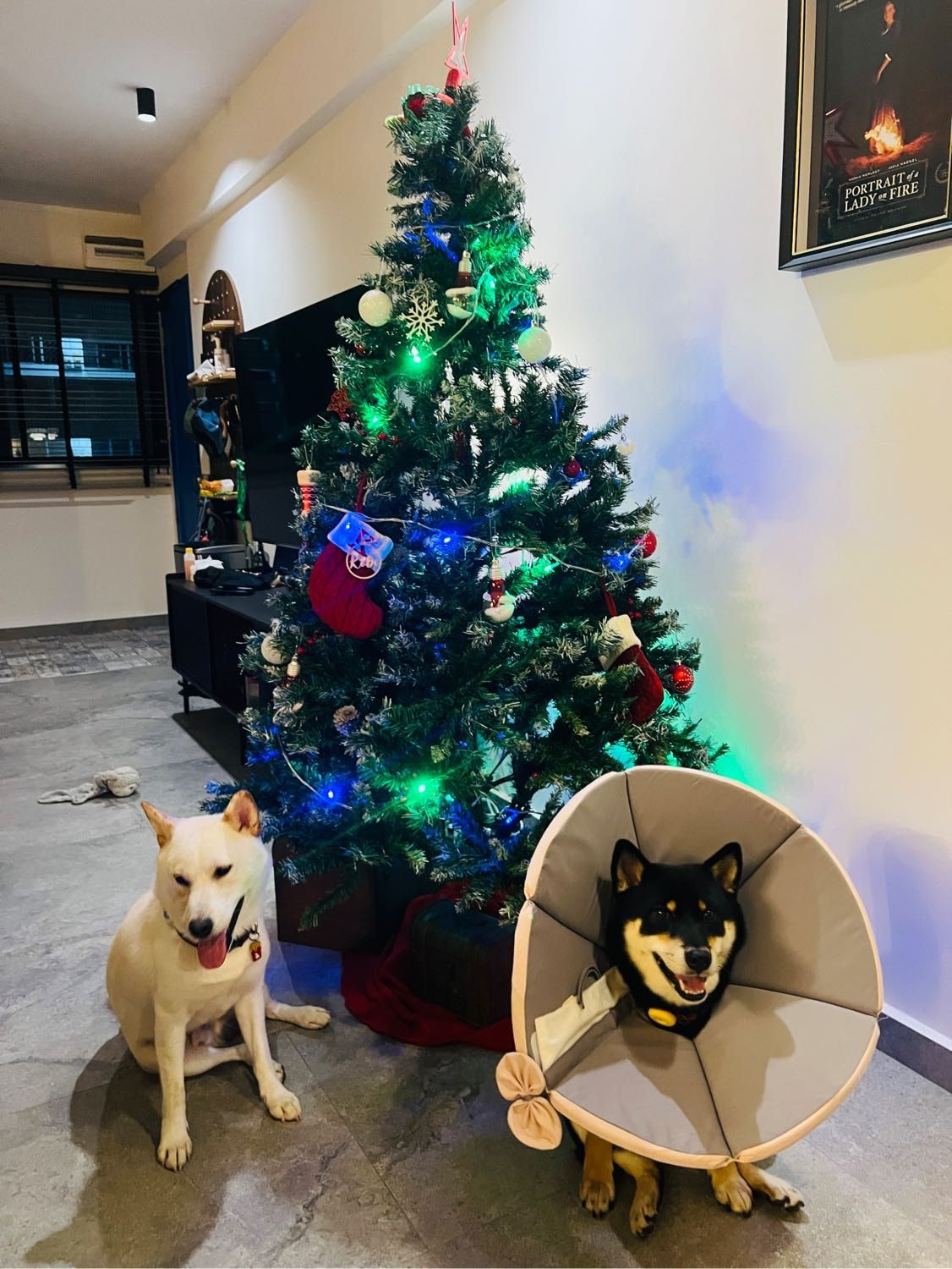 image-4