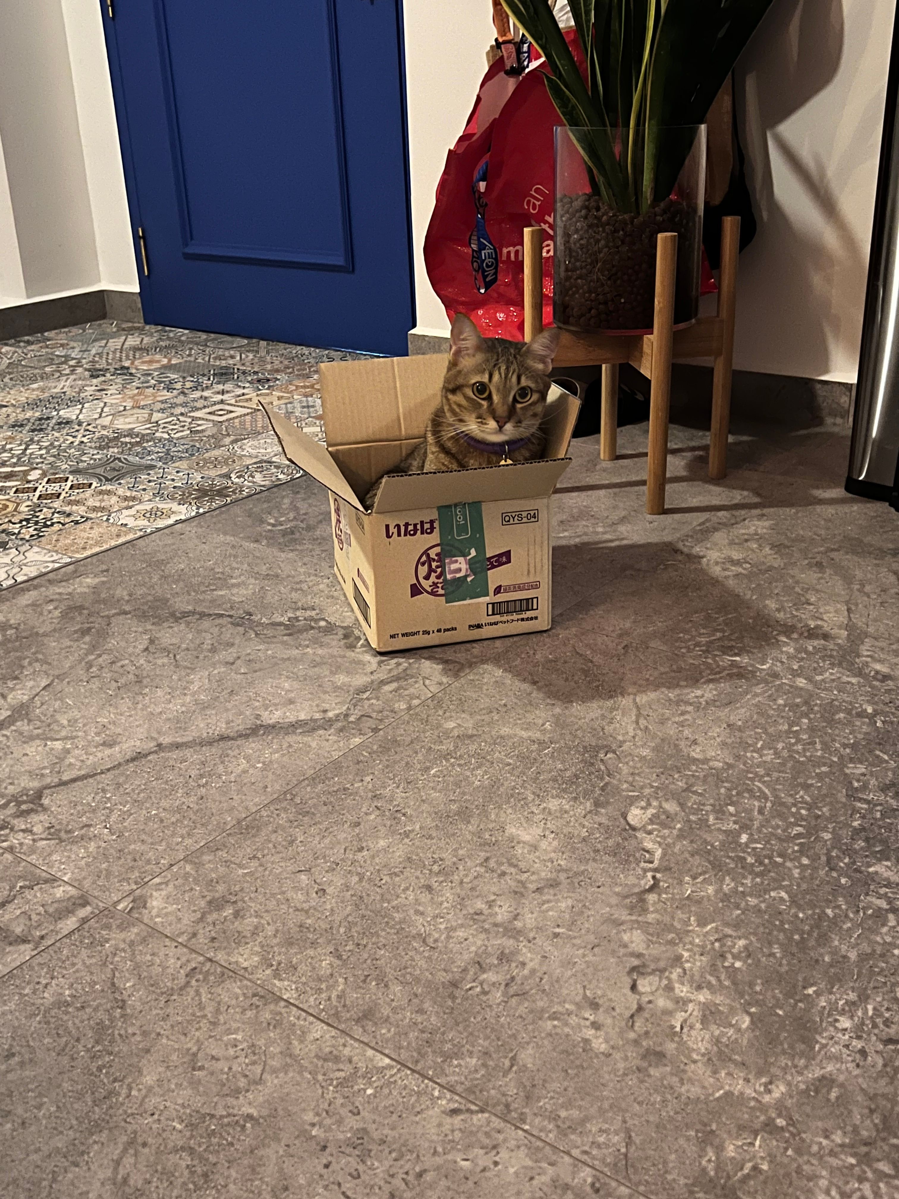 image-17