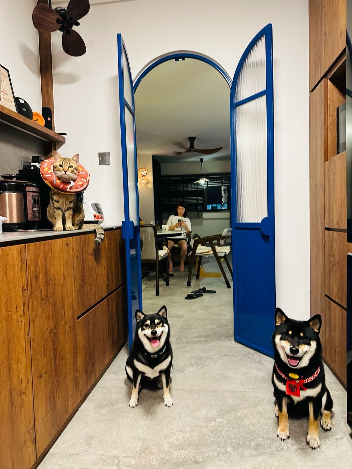 image-14