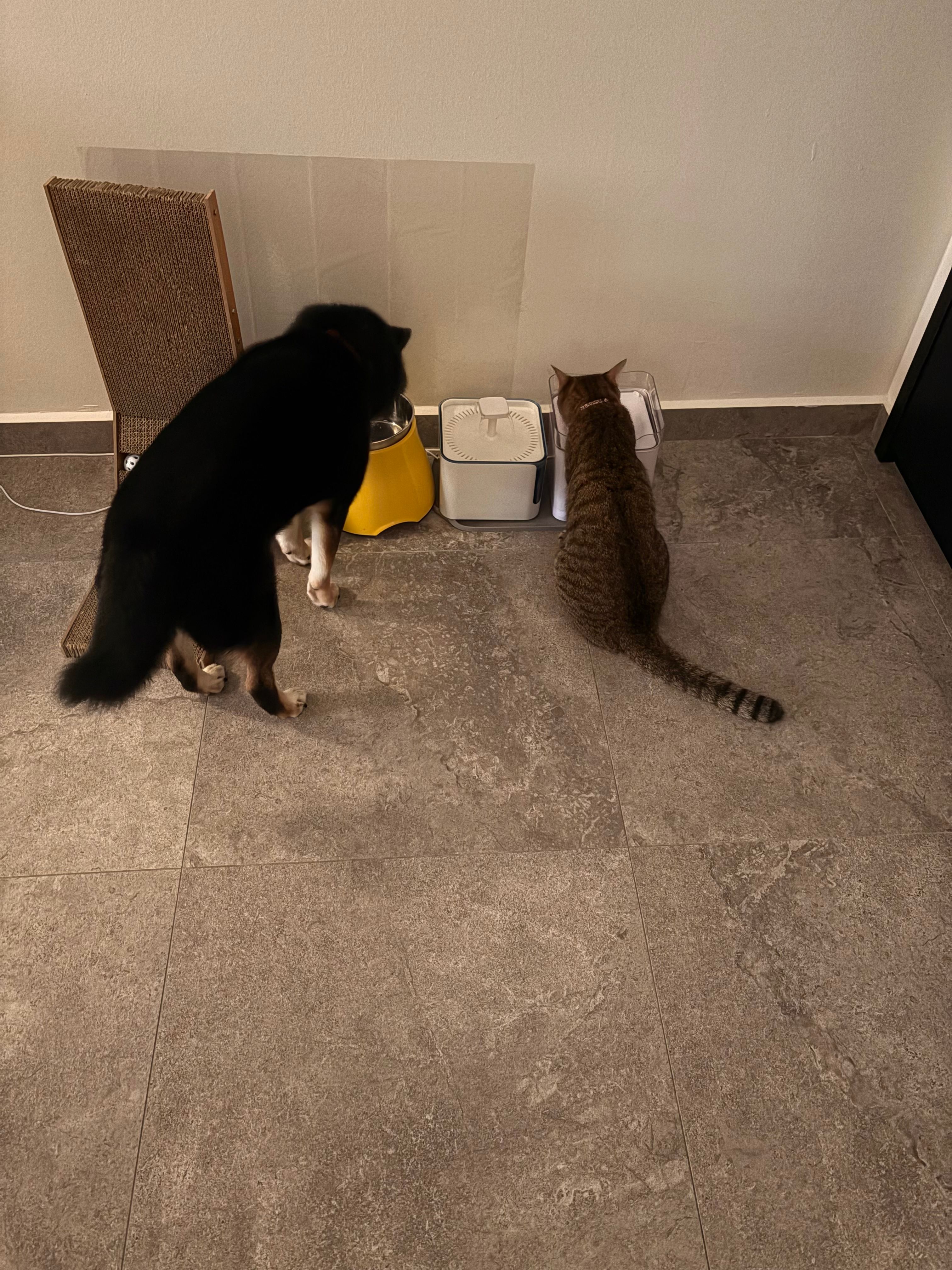 image-18