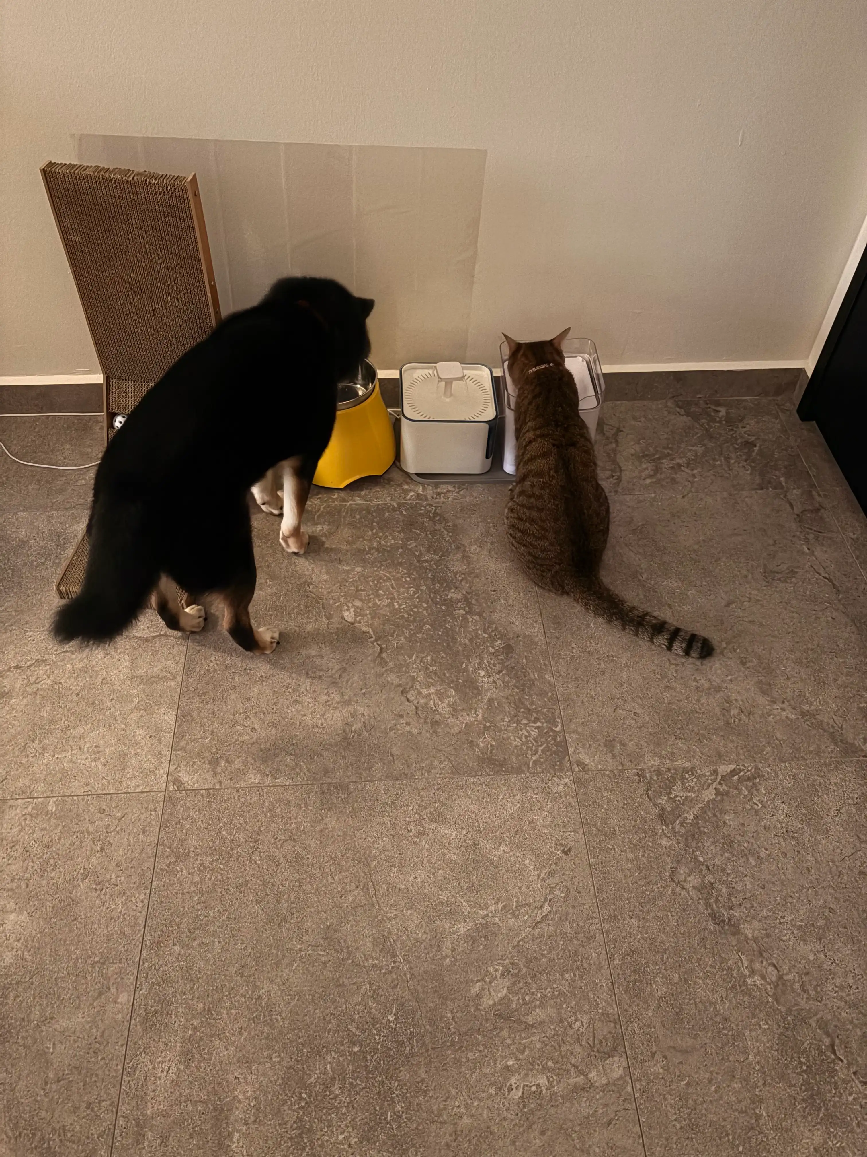 image-18