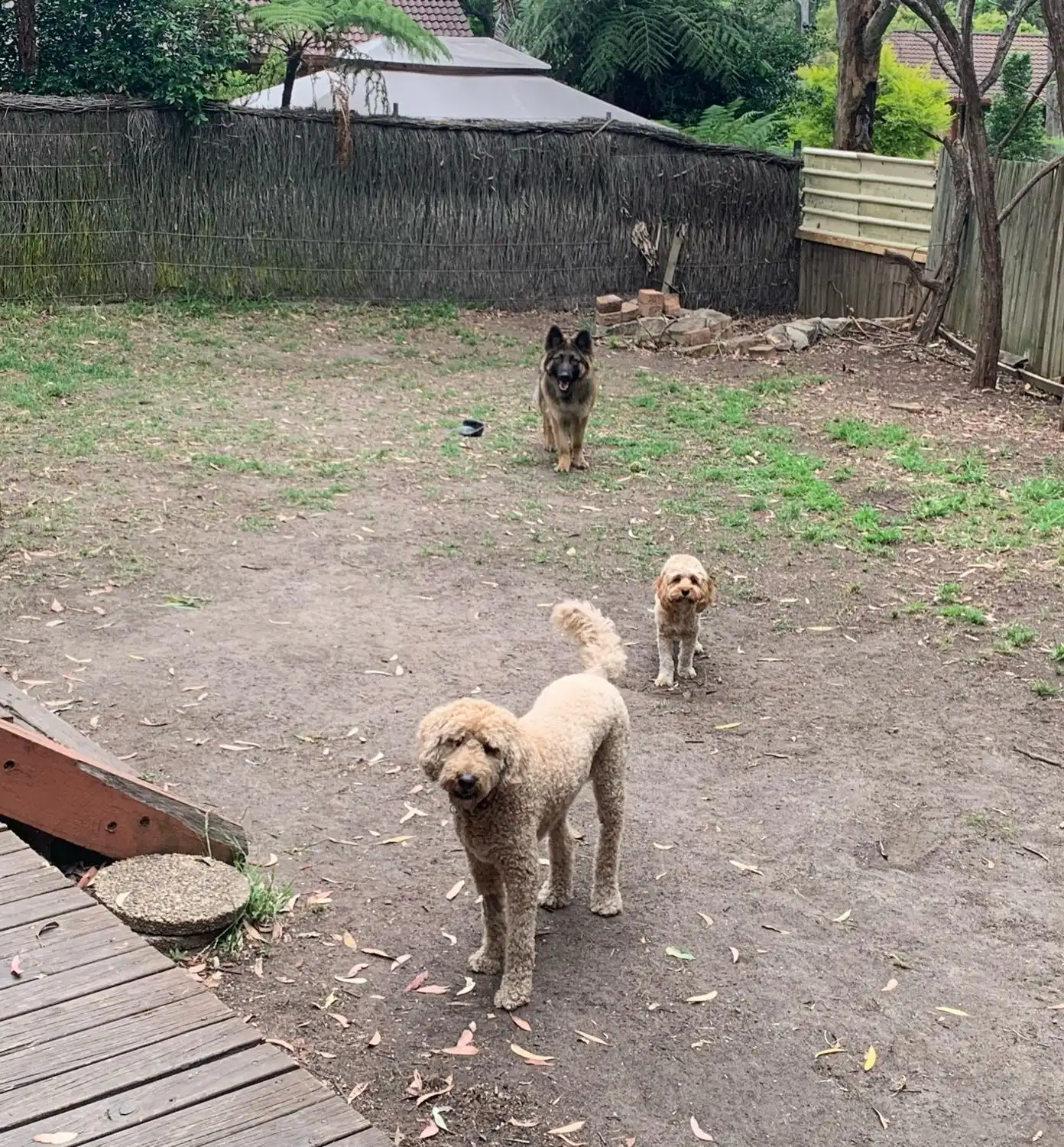 image-6