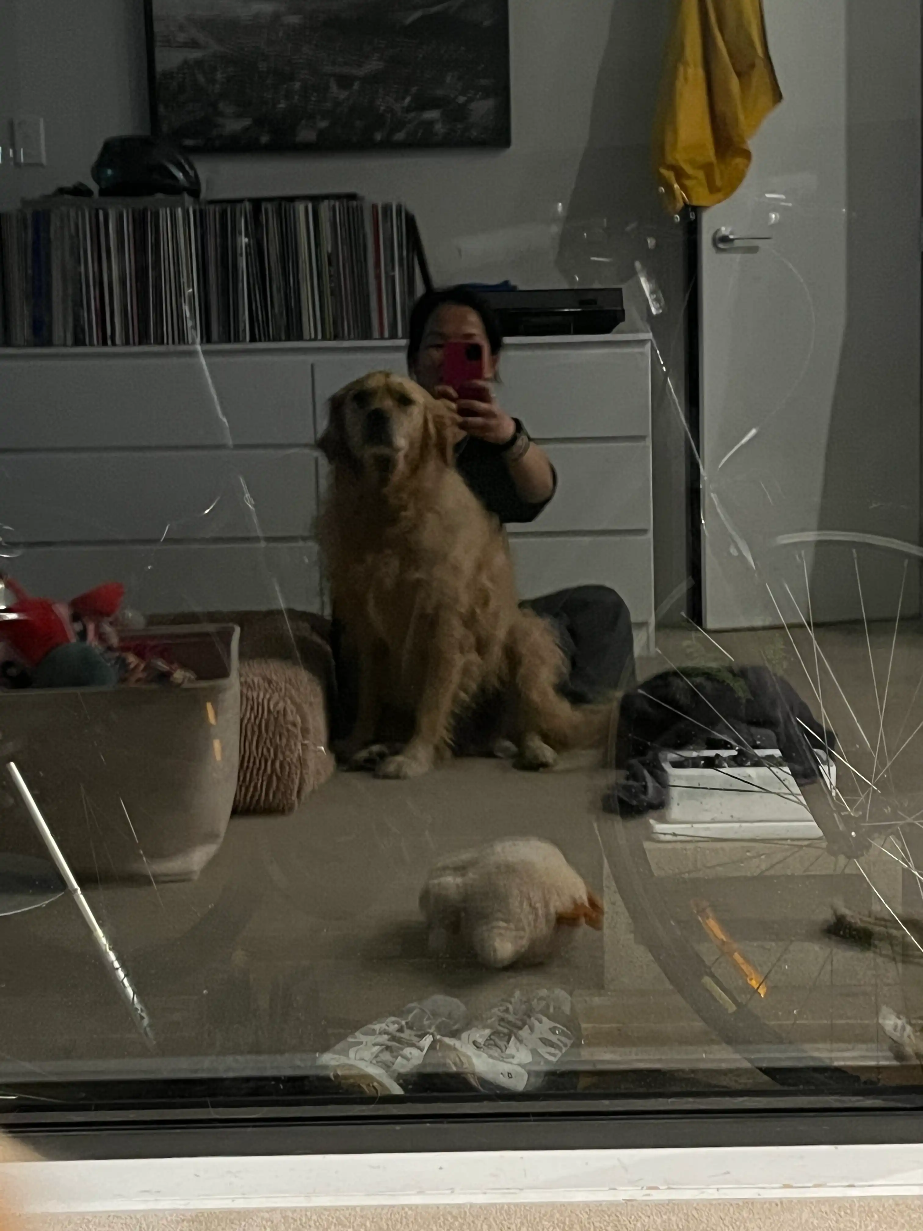 image-11