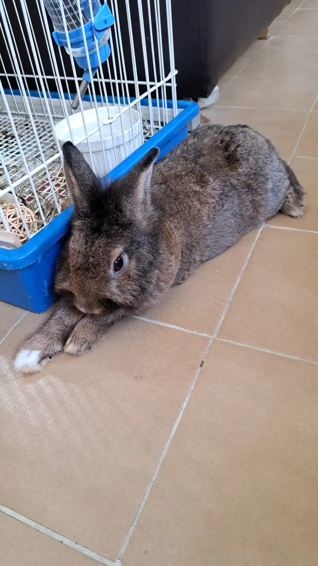 image-7