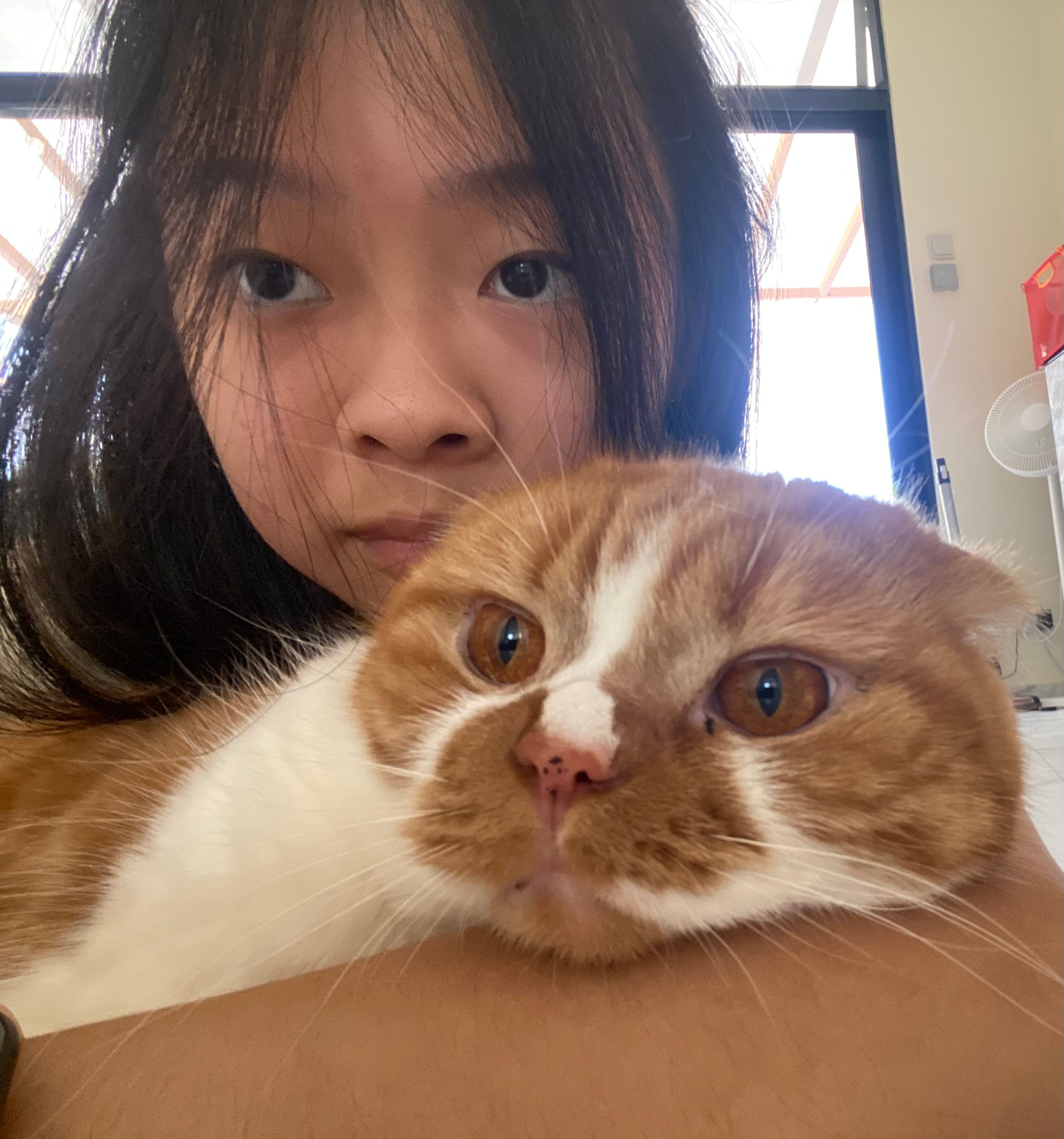 image-8