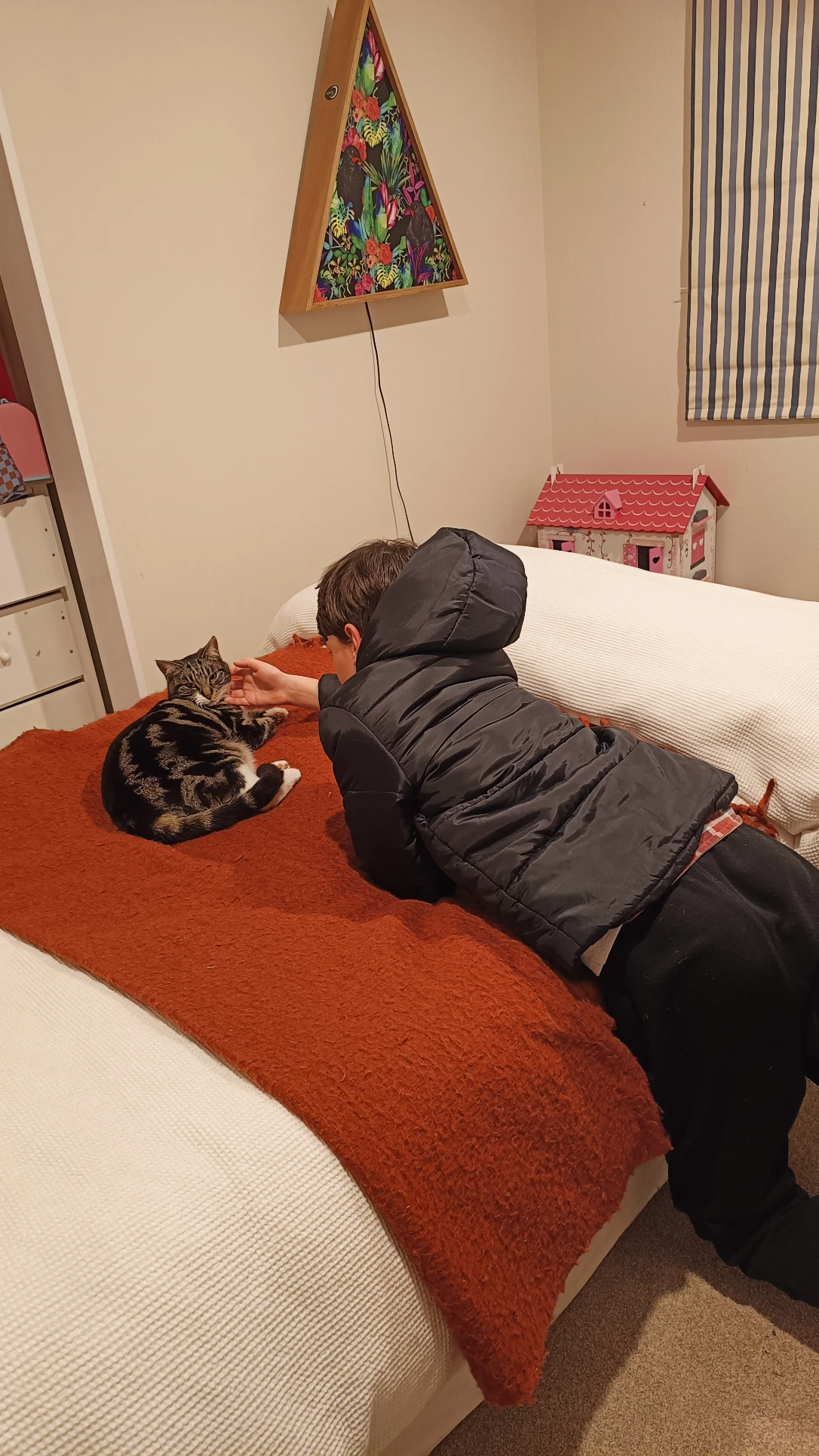 image-14