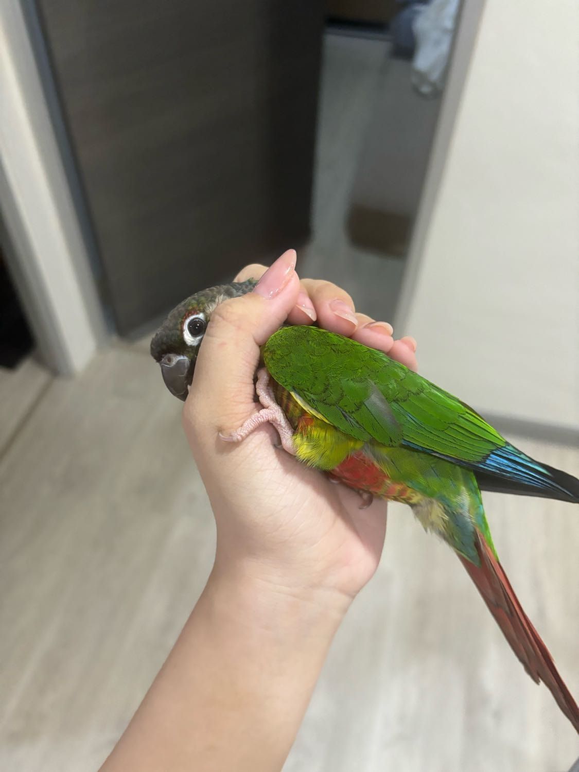 image-6