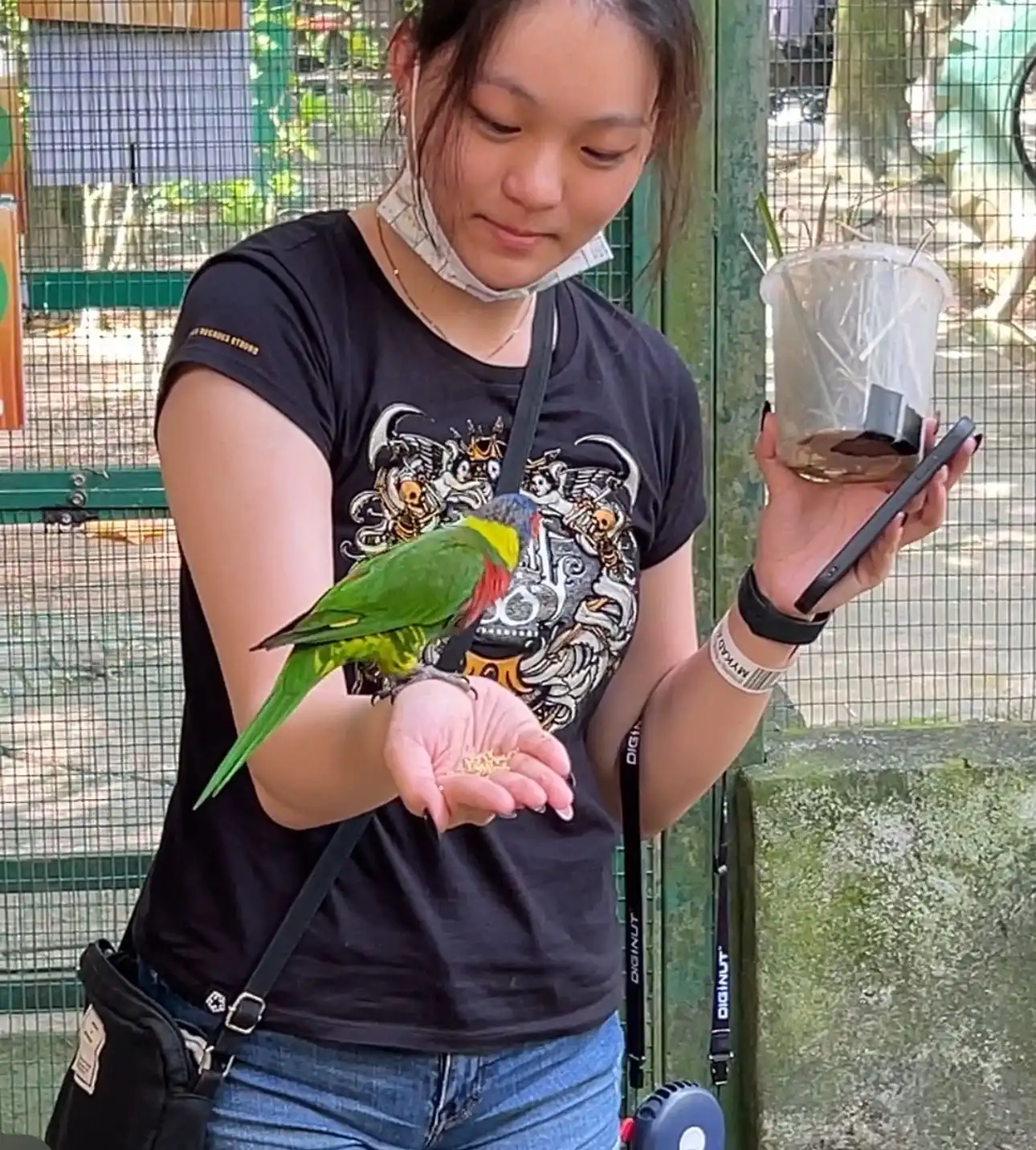 image-15
