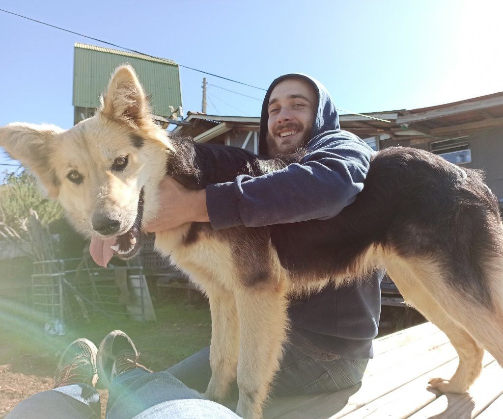 image-6