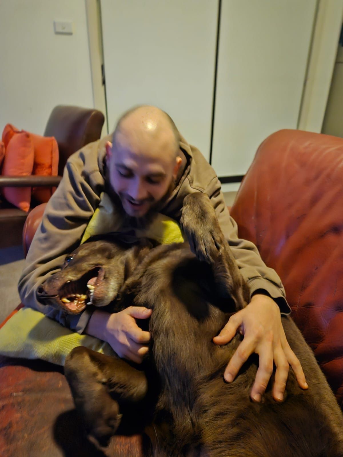 image-10