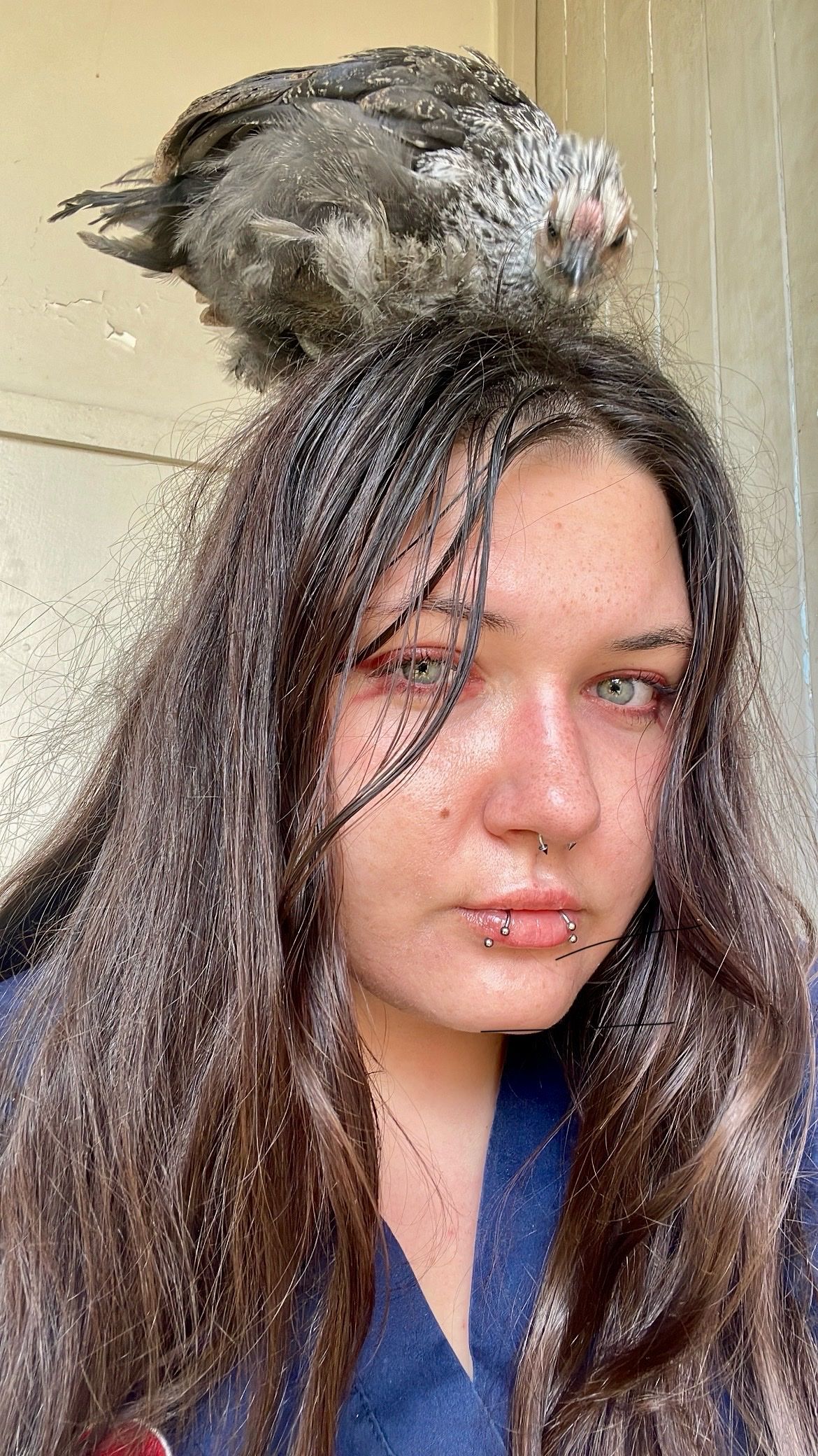 image-8
