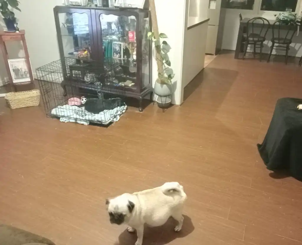 image-12