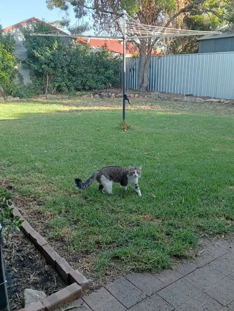 image-6
