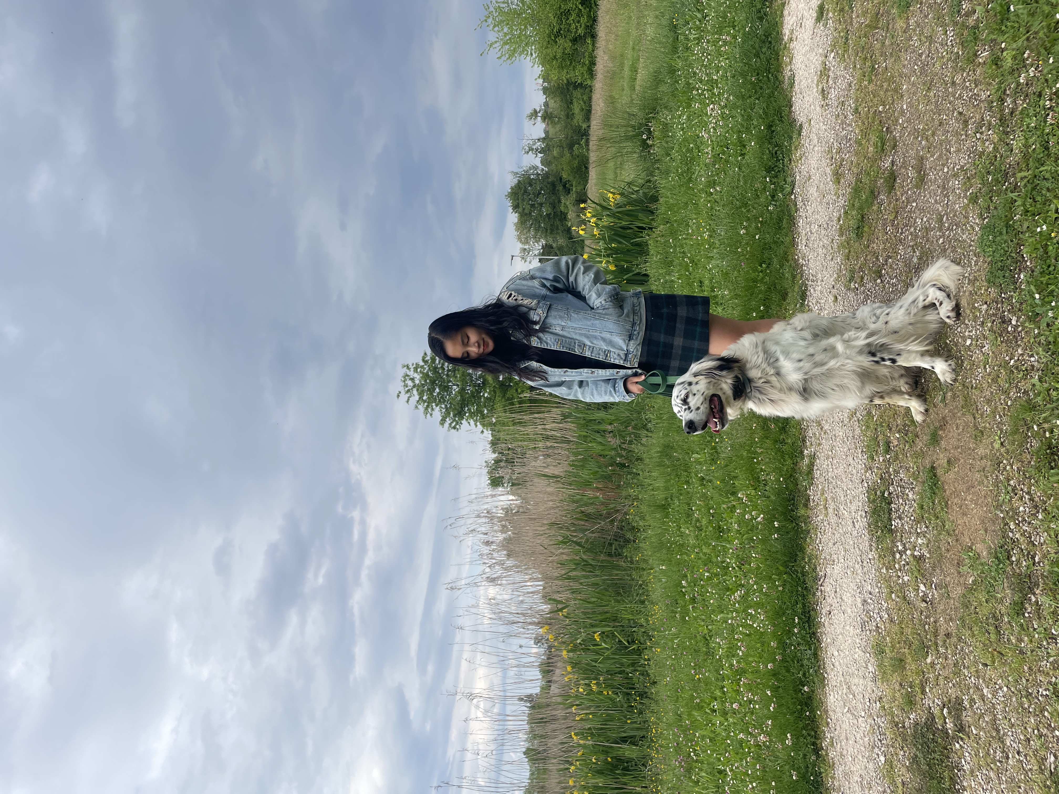 image-17
