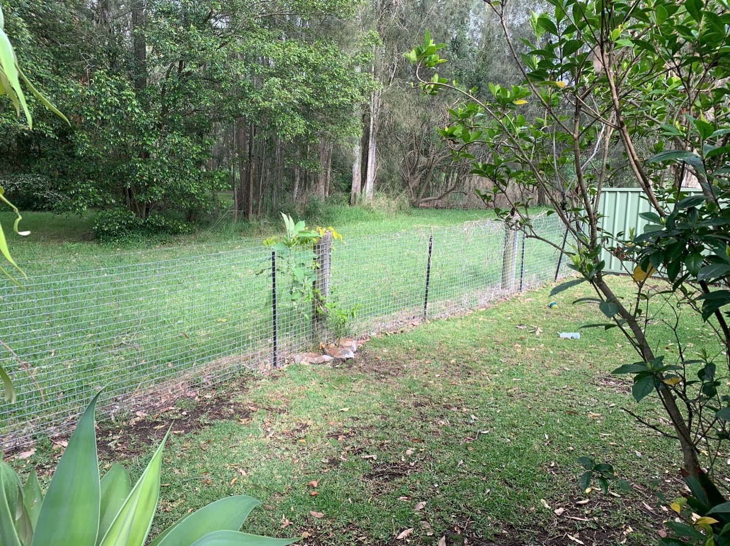 image-3