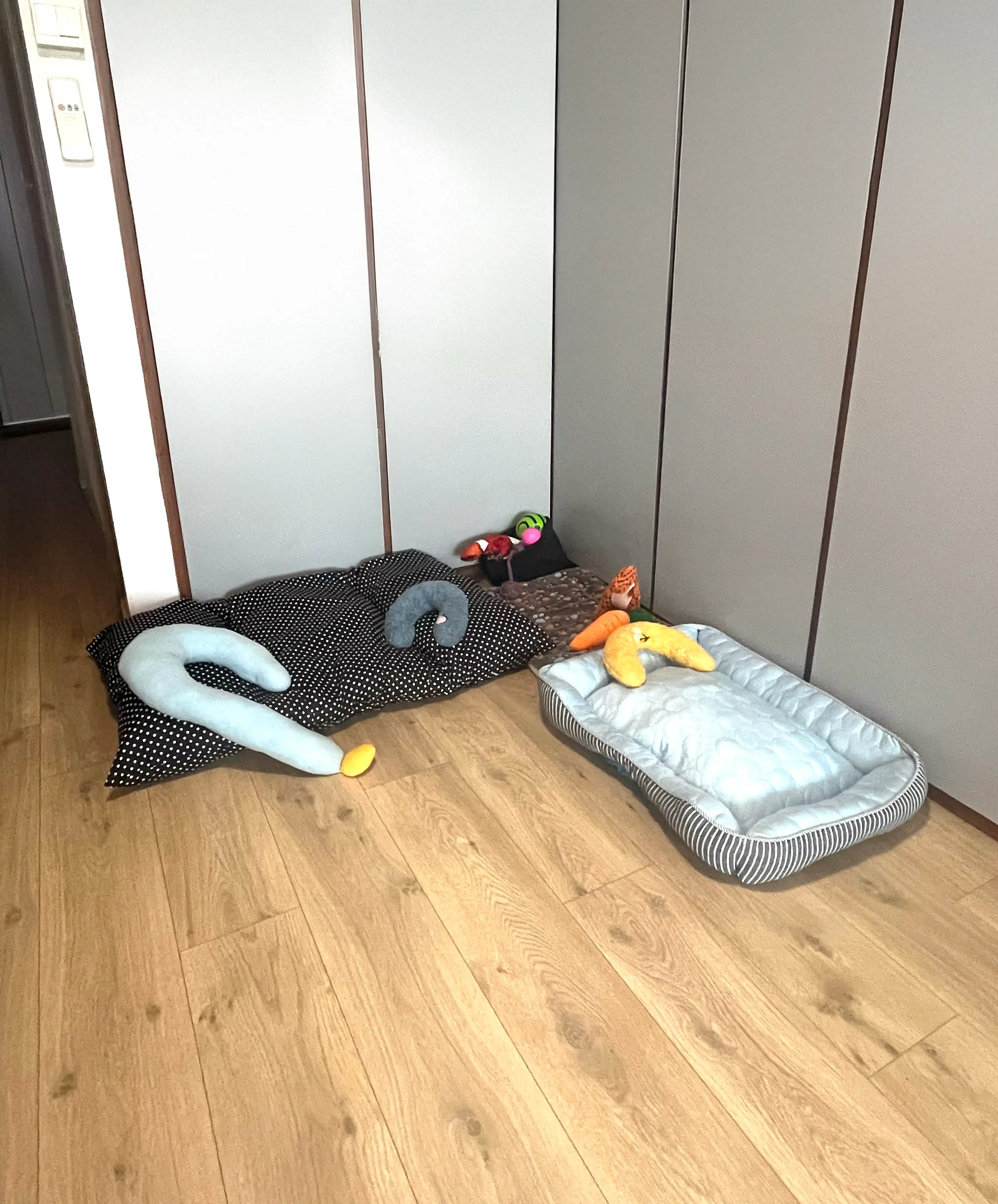image-8