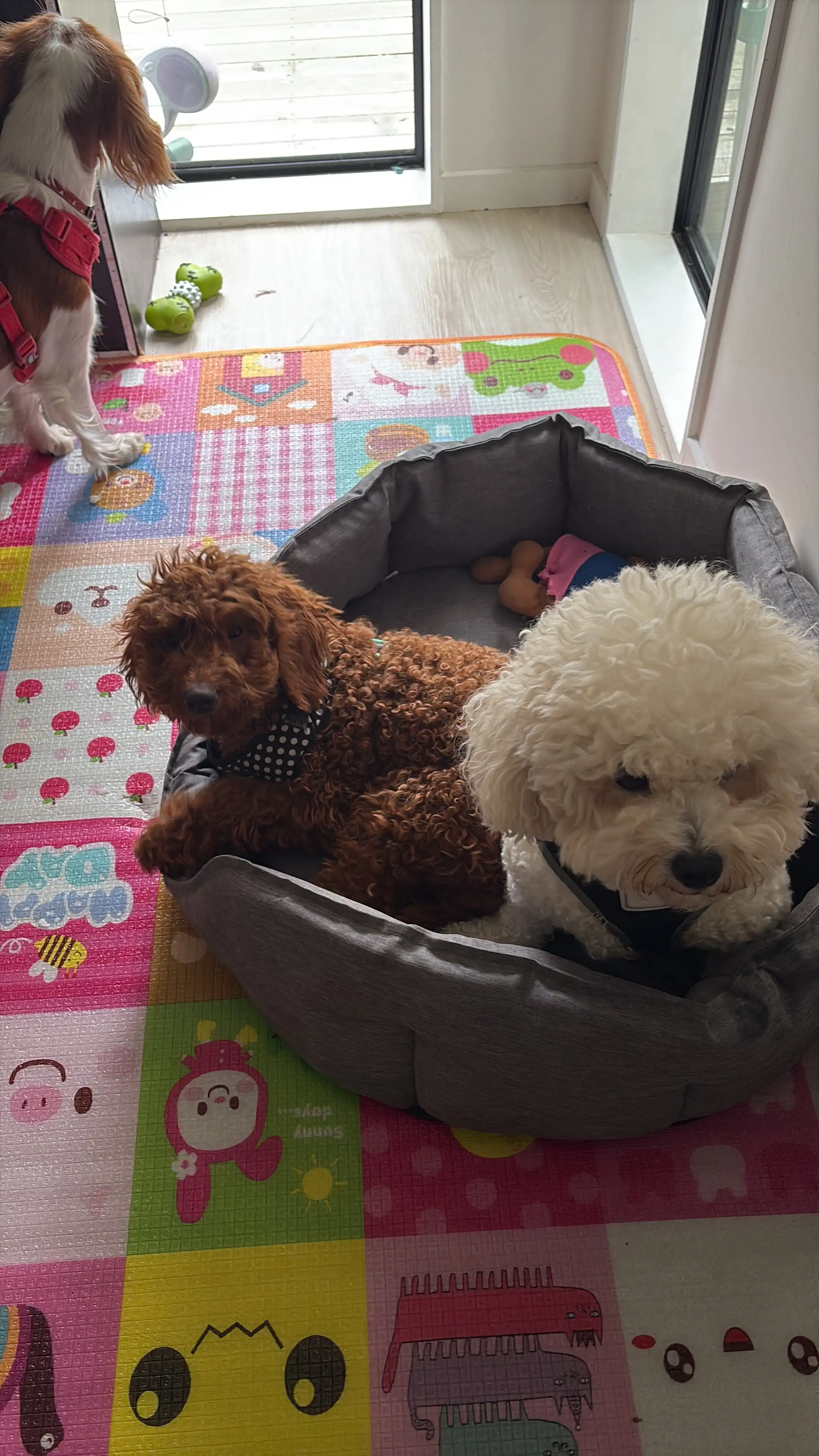 image-9