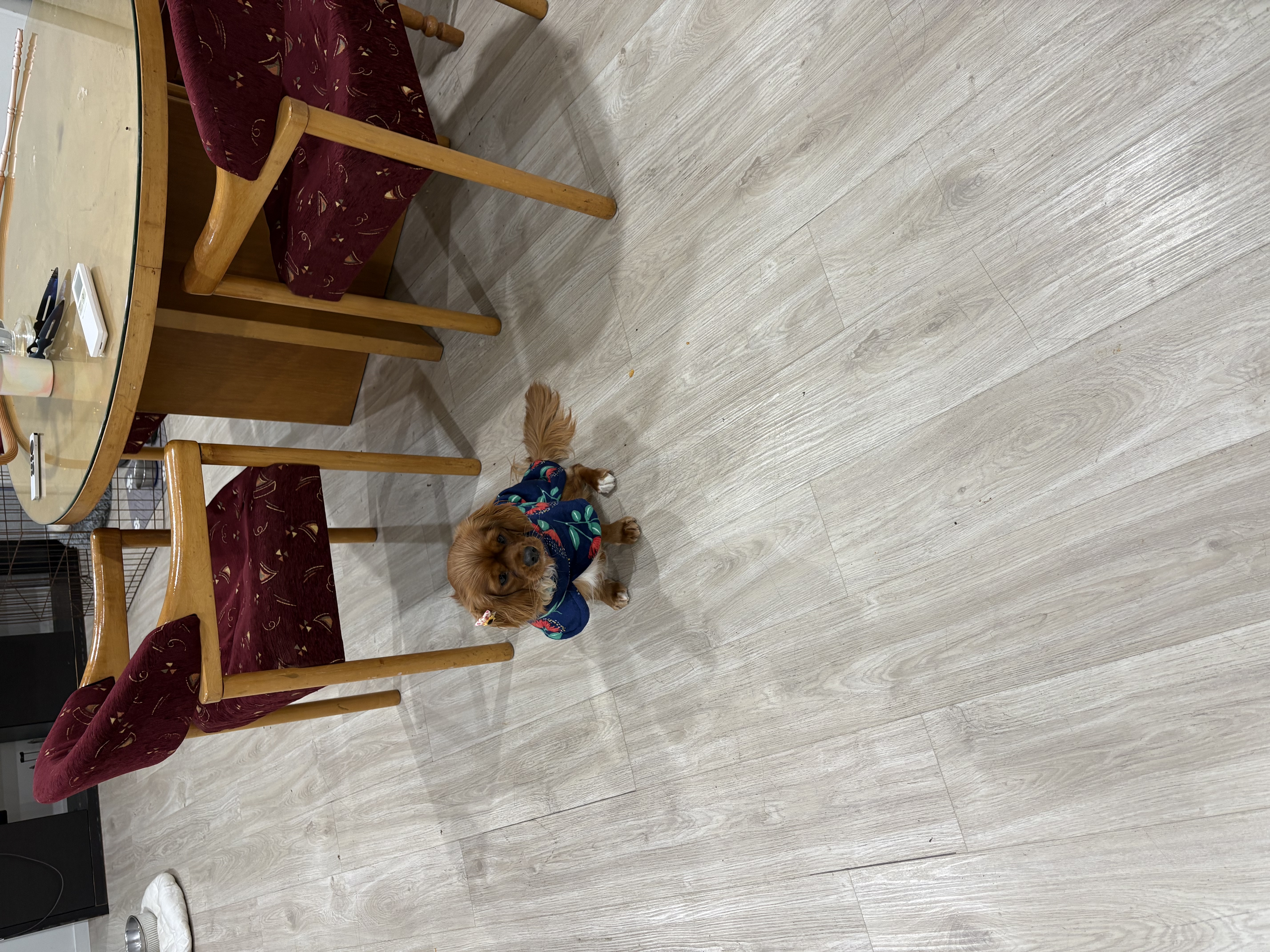image-14