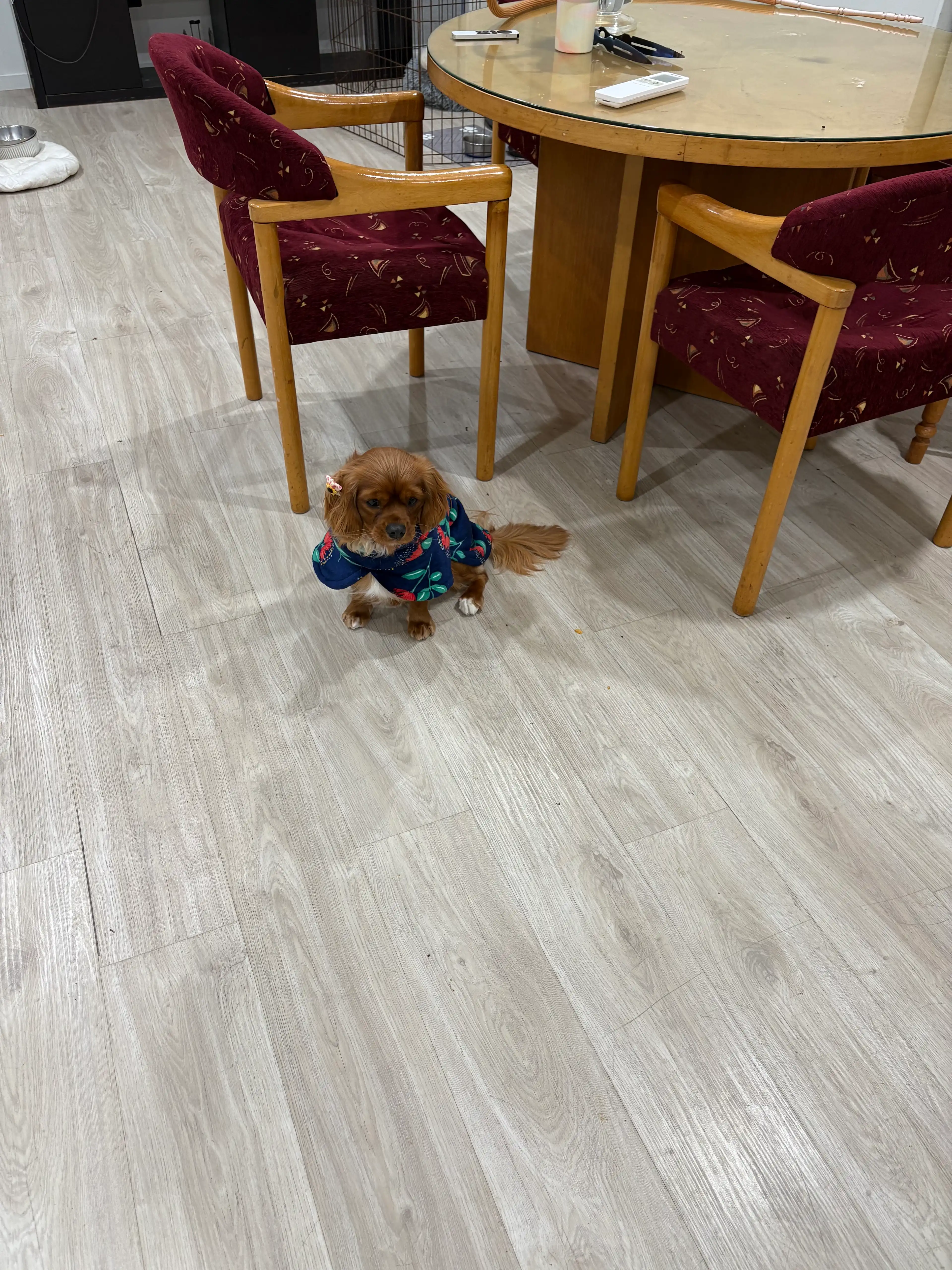 image-14