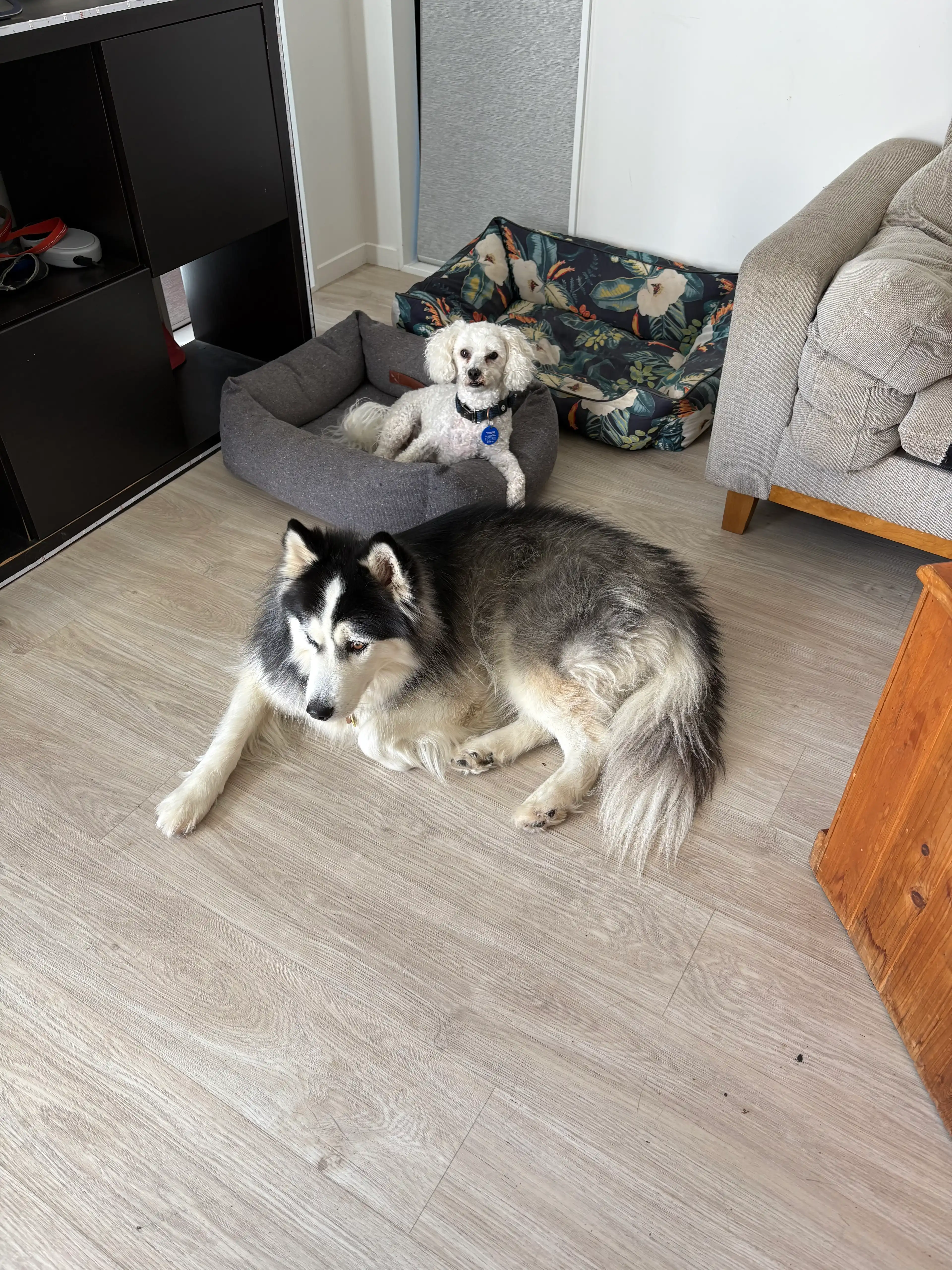 image-14