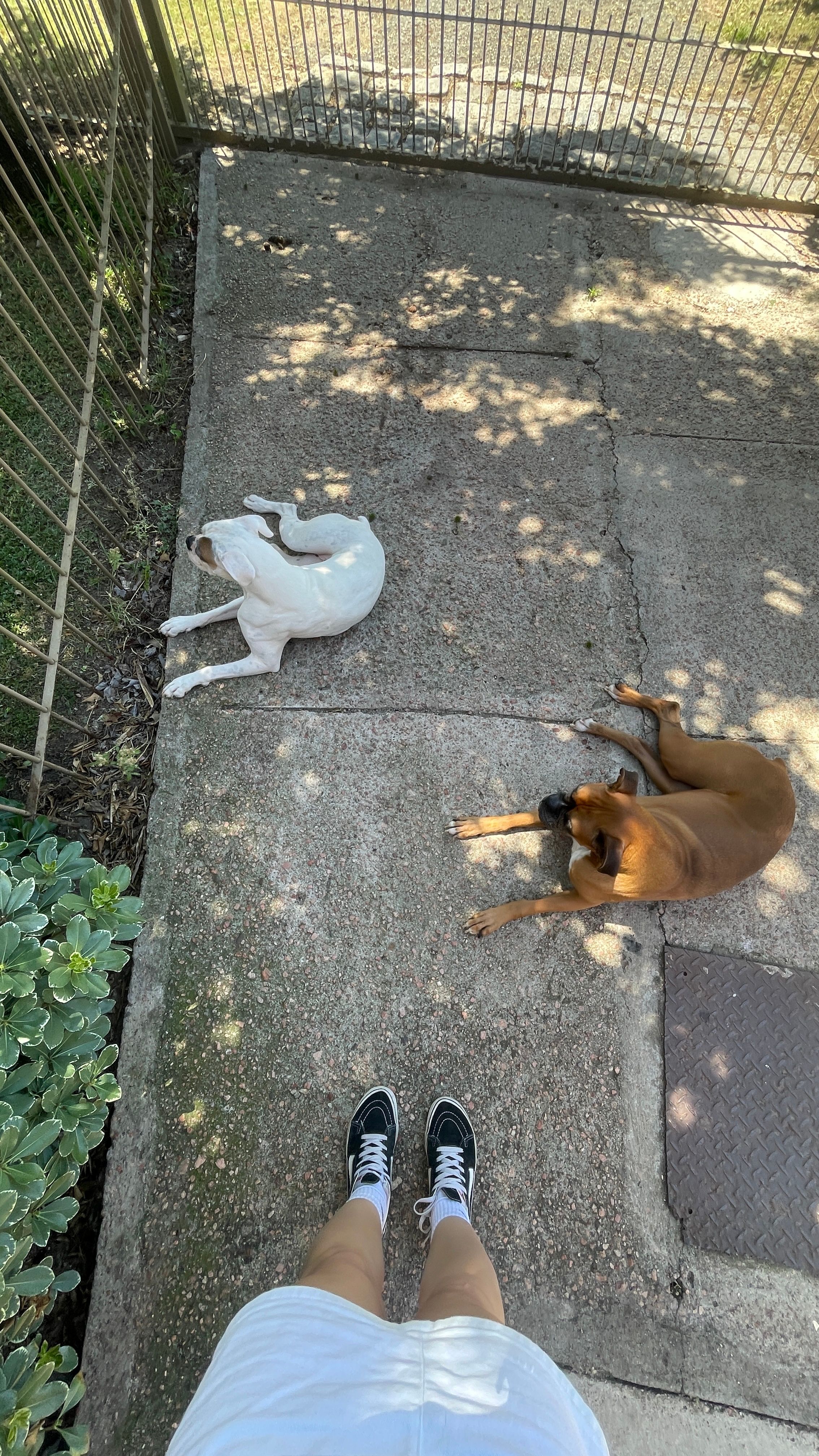 image-18