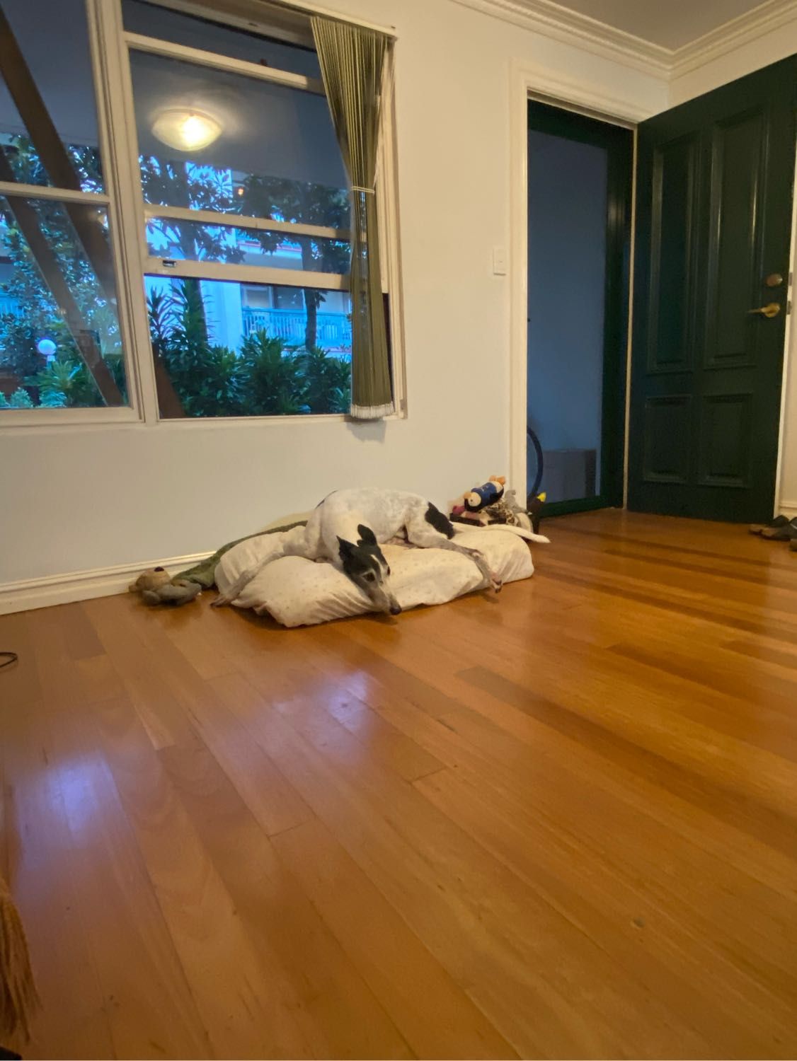 image-8