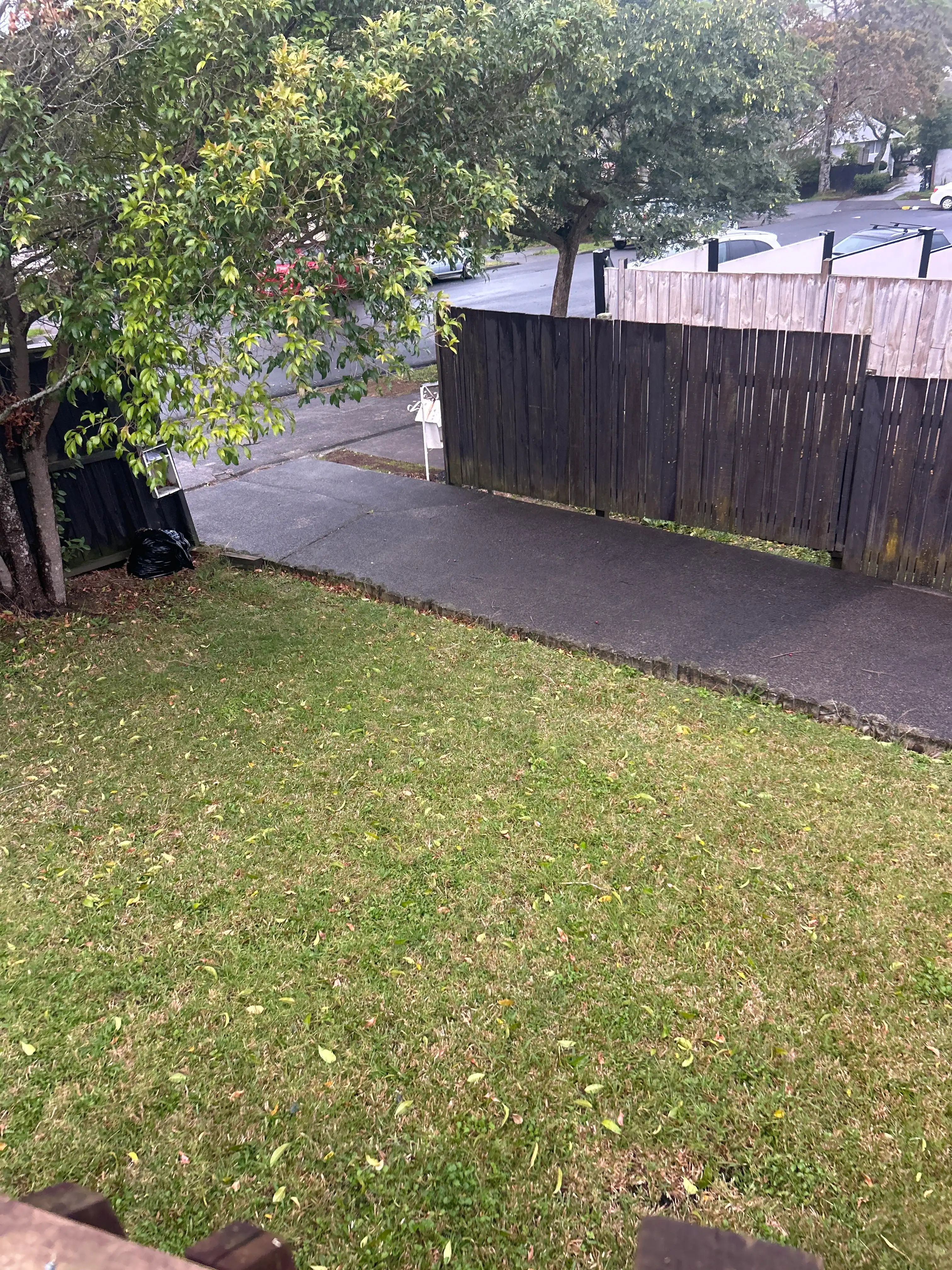 image-14