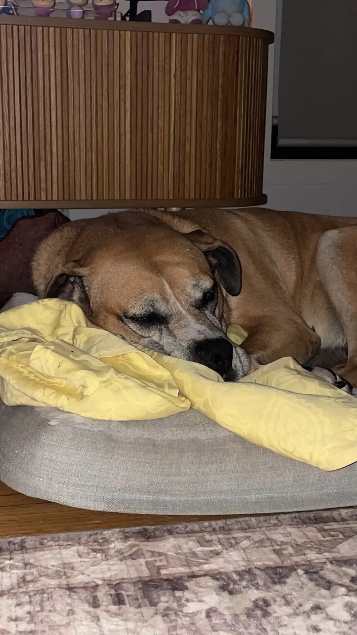image-11