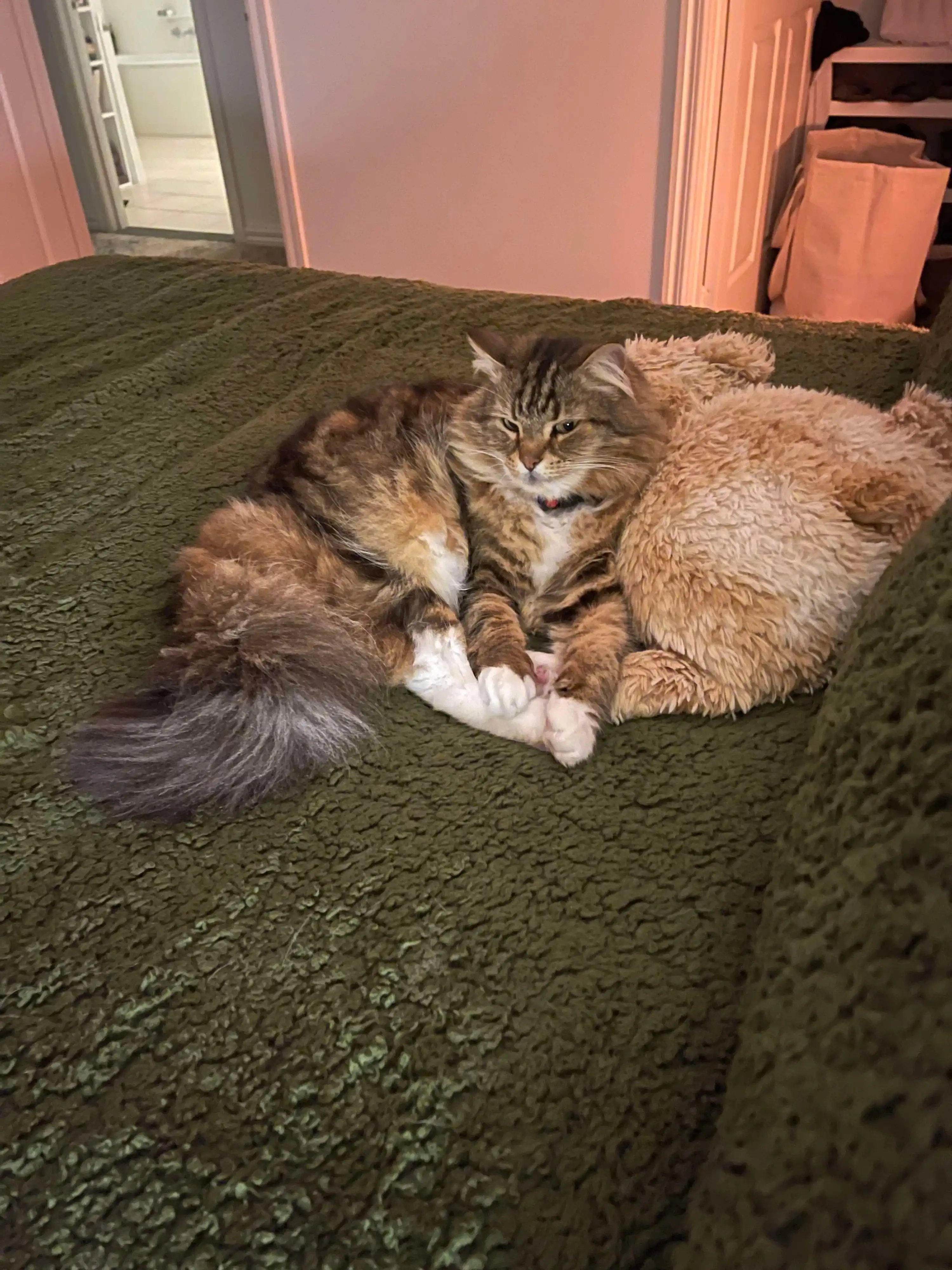image-6