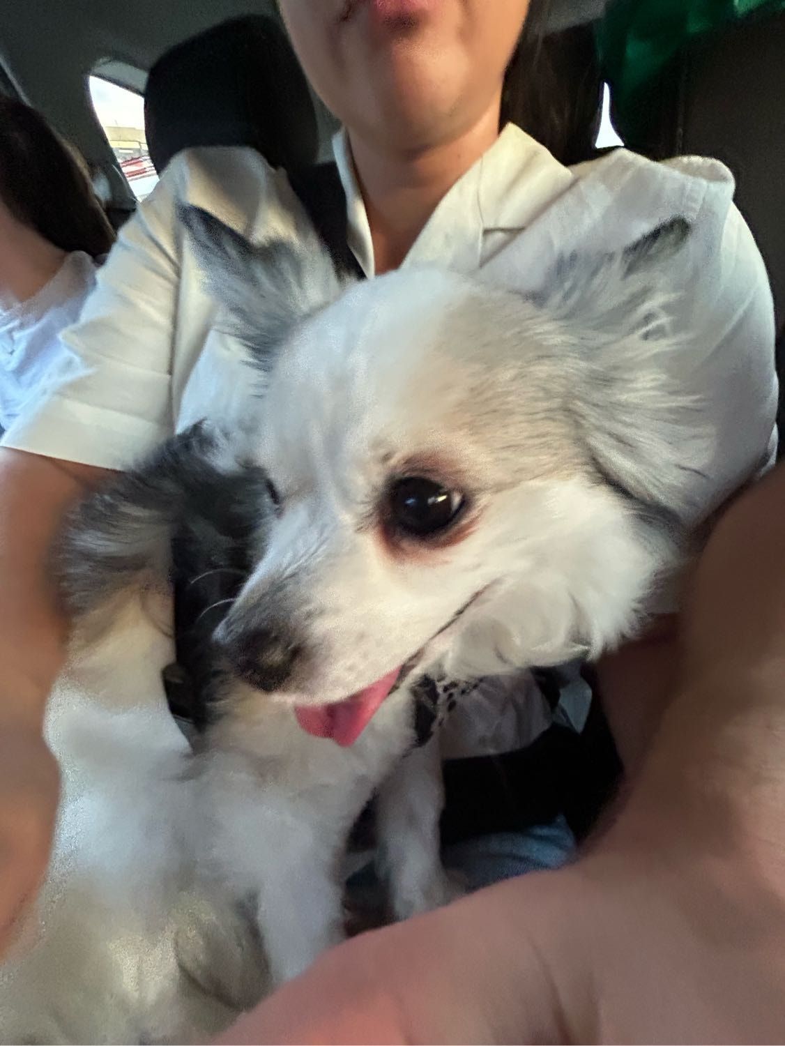 image-11