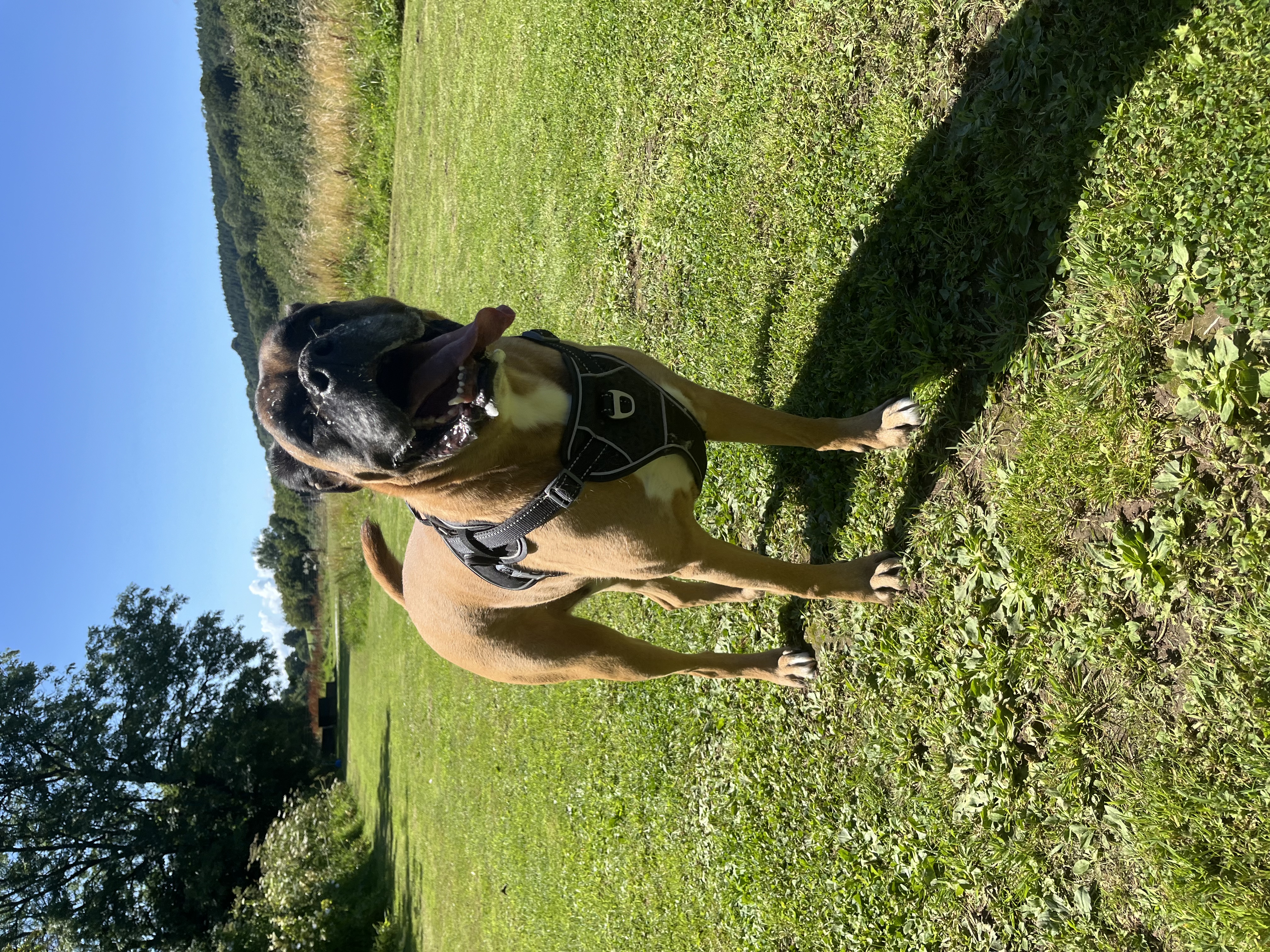 image-6