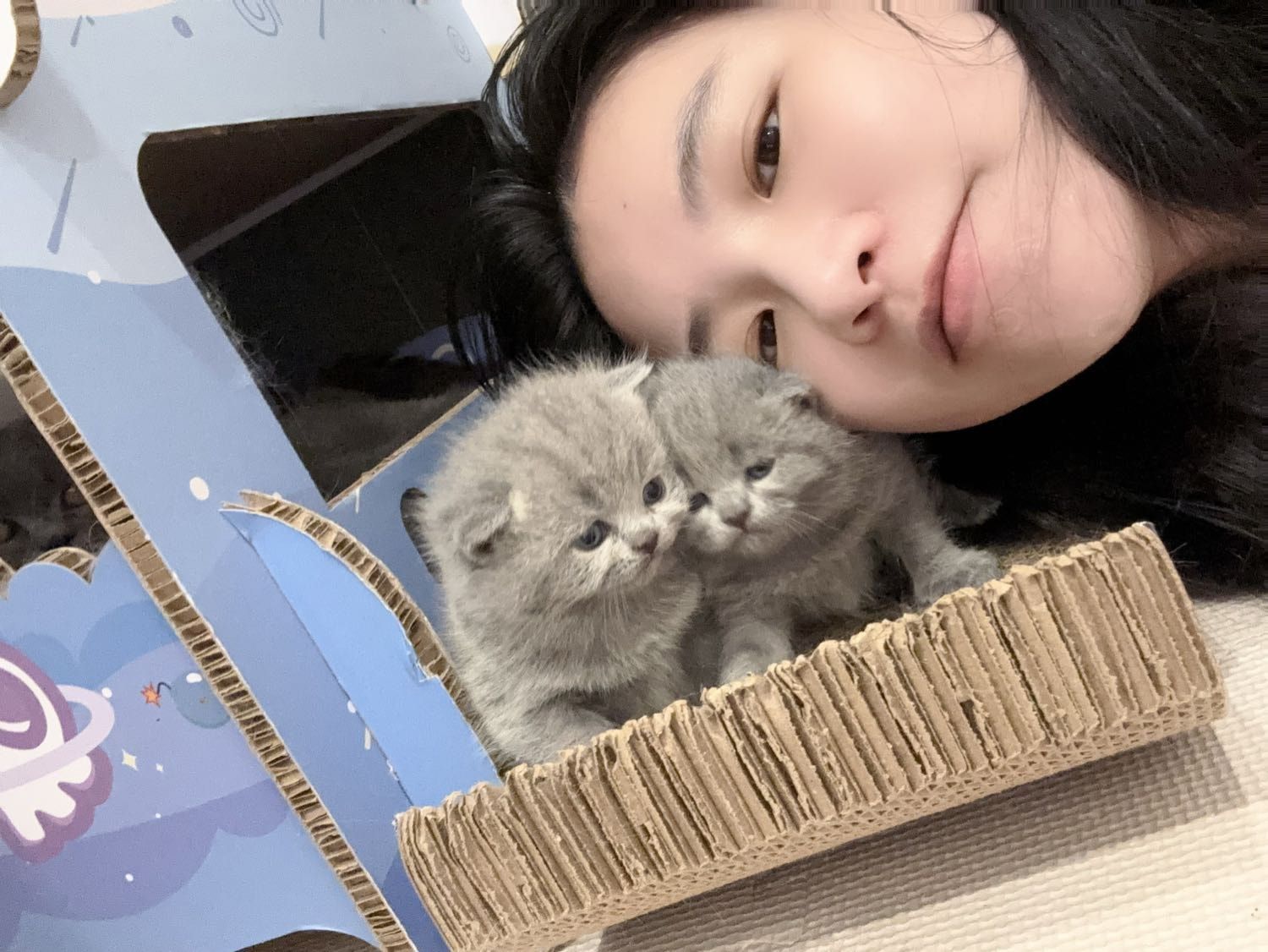 image-4