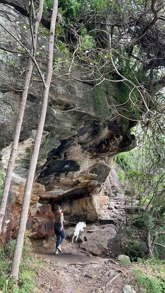 image-14