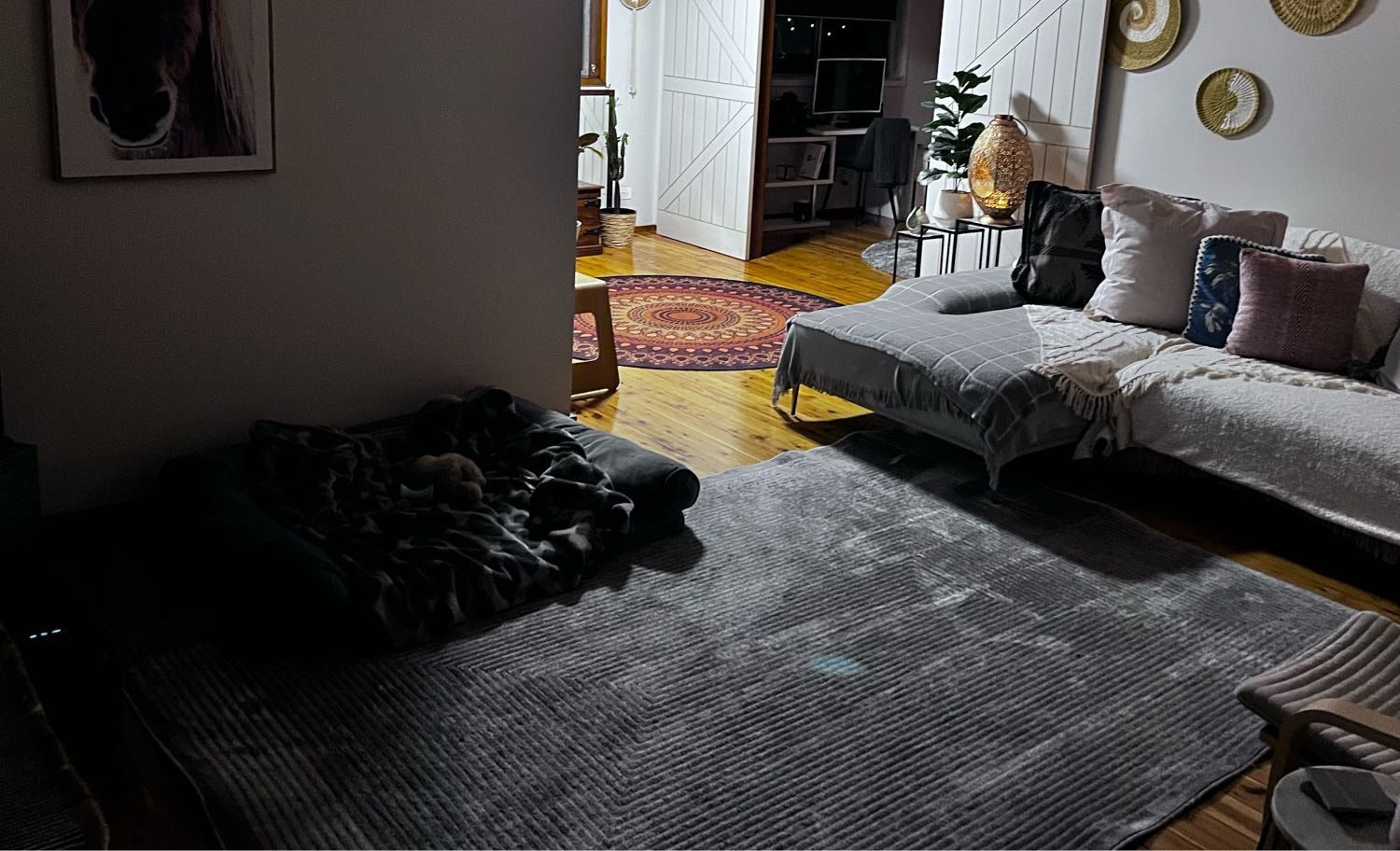 image-4