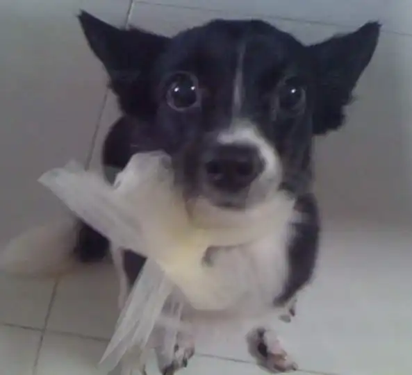 image-5